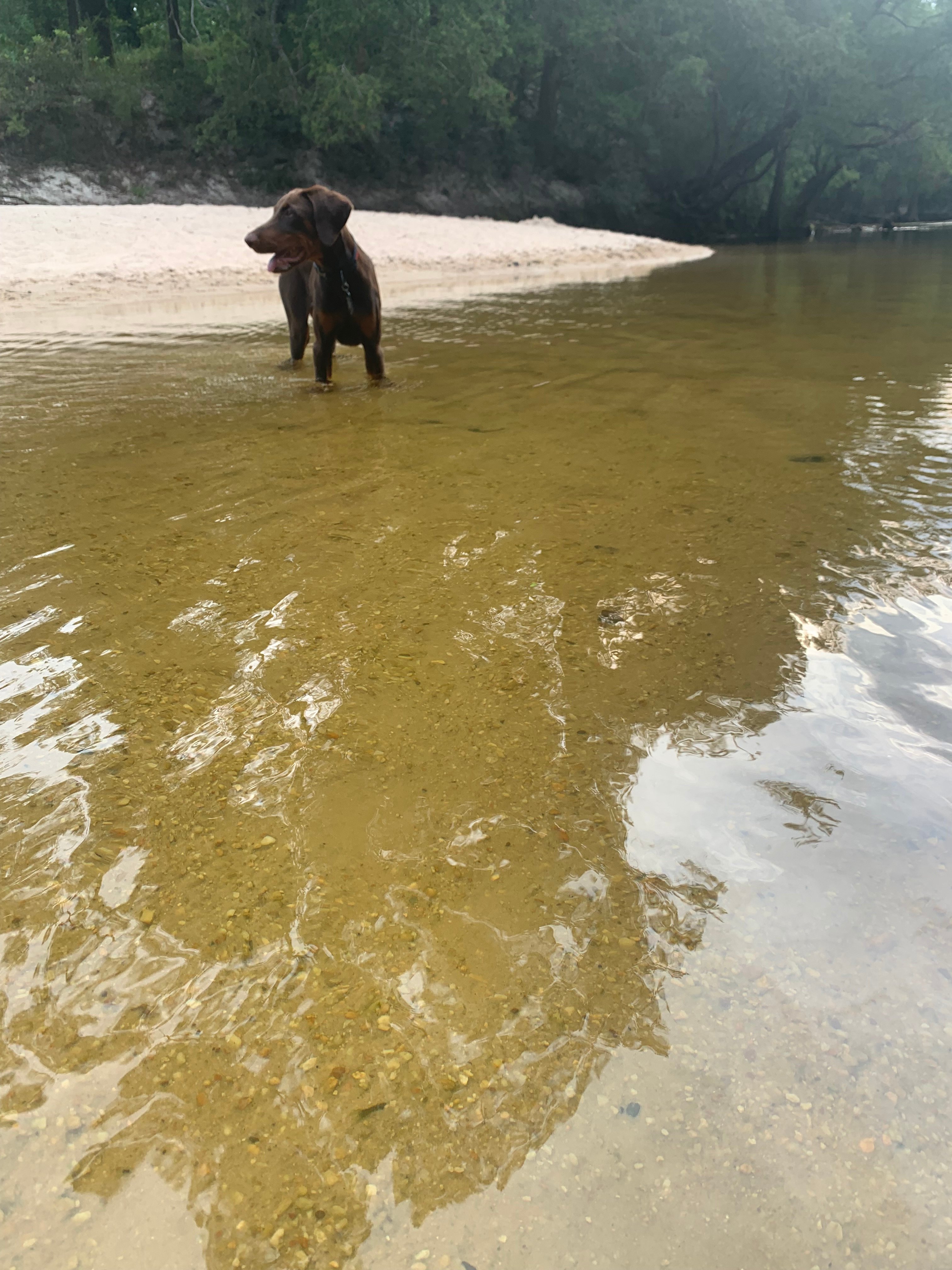 YaYa's River Retreat