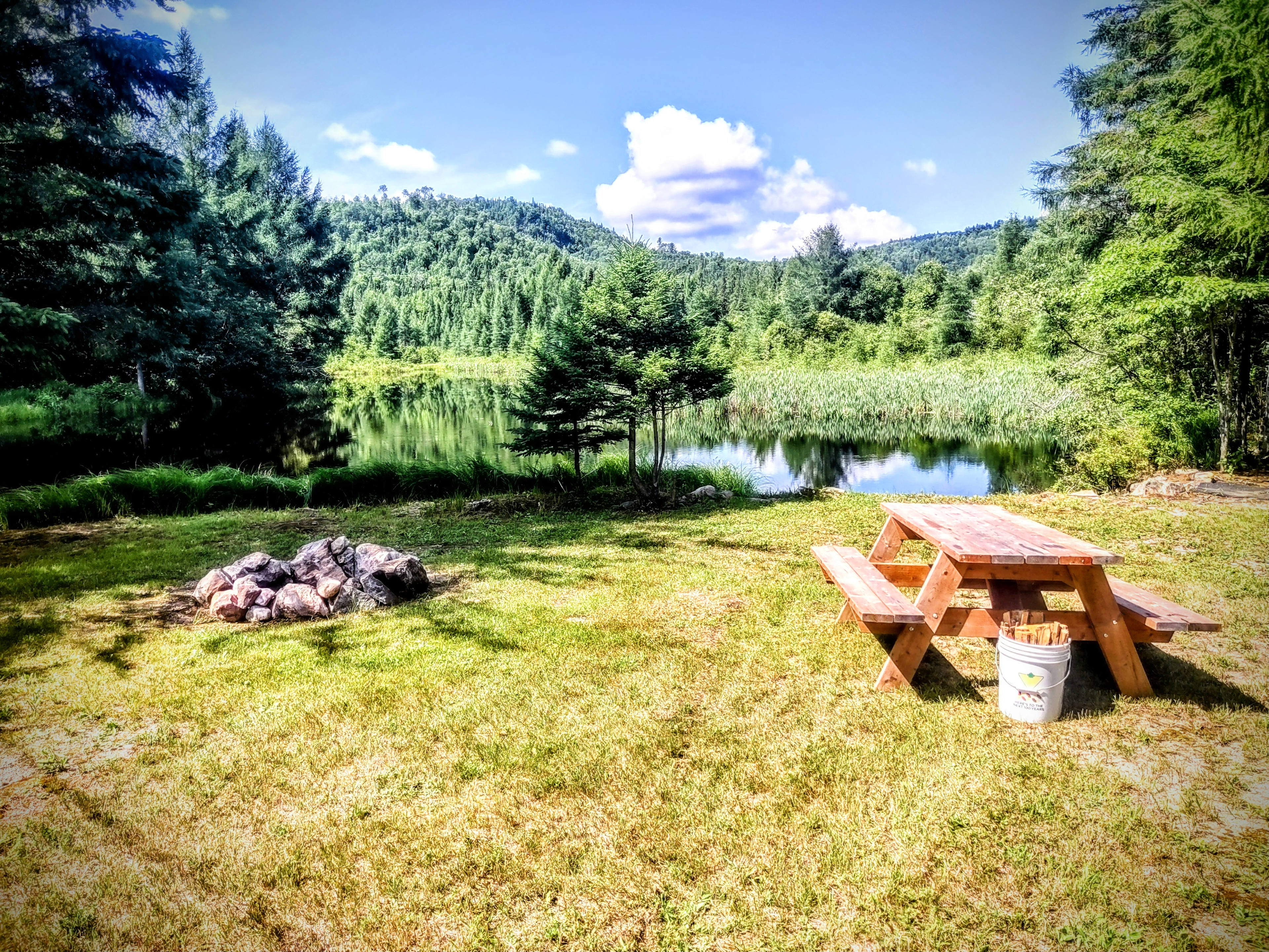 Little Forest Lake