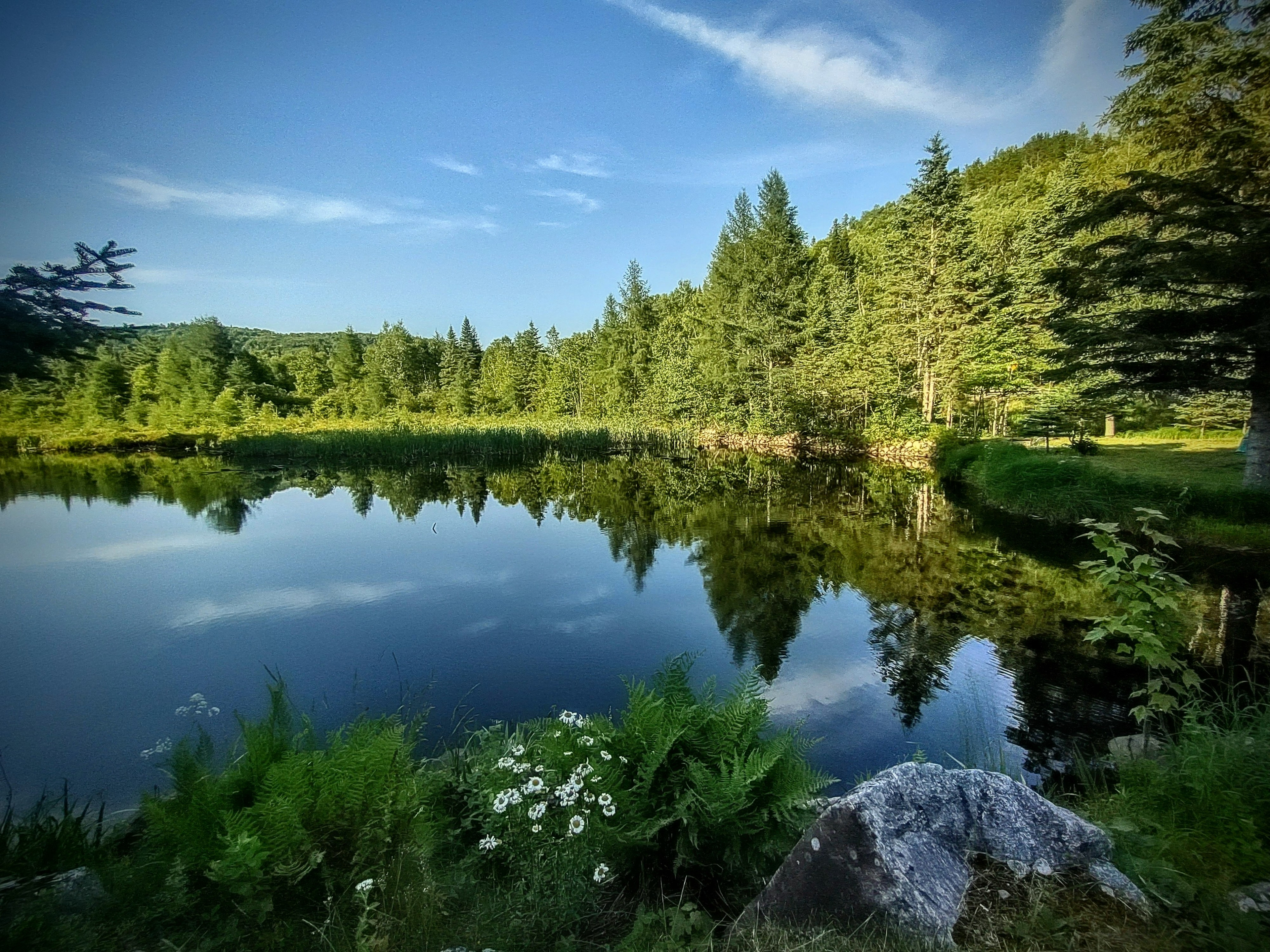 Little Forest Lake