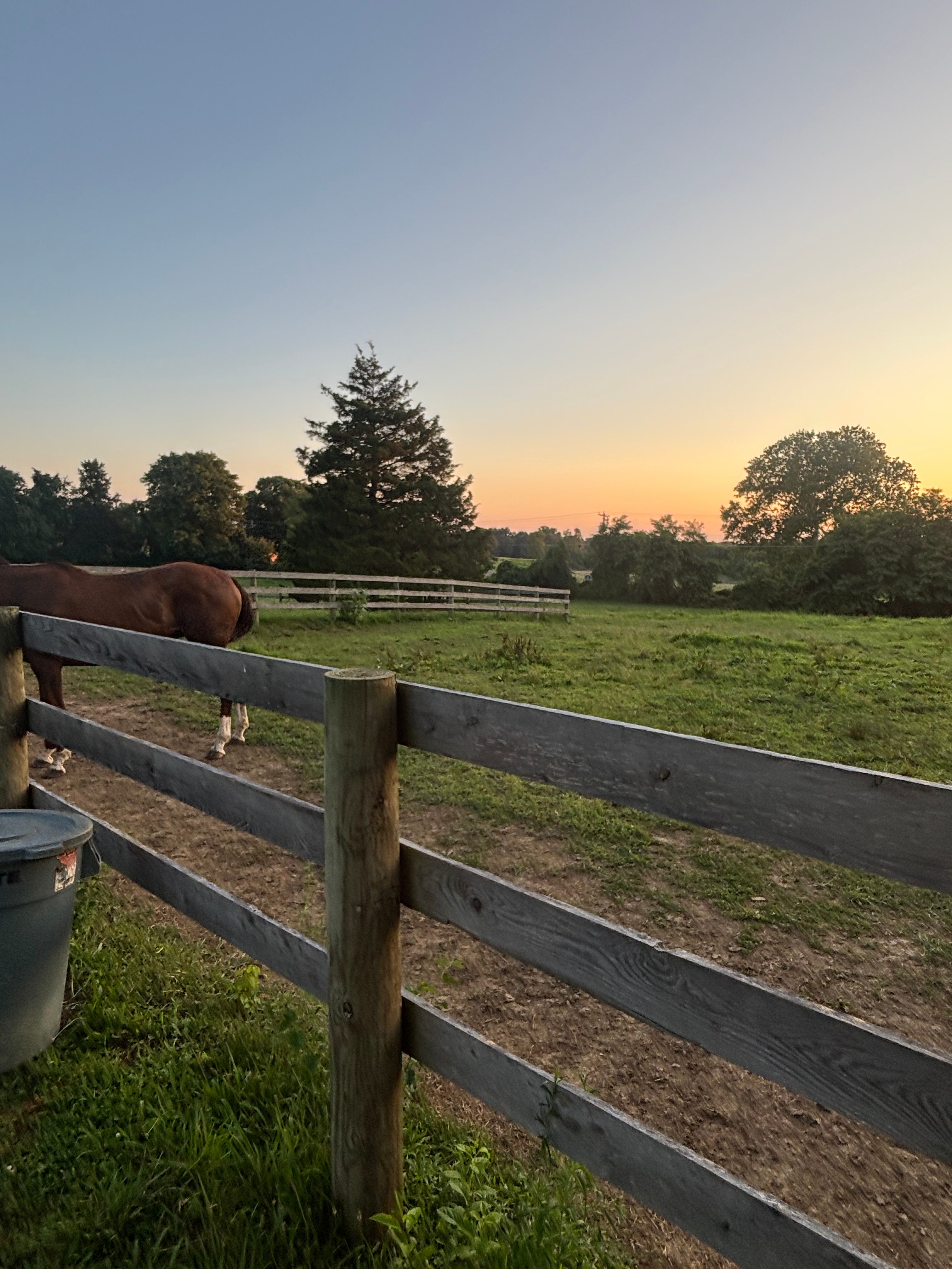 FairHill Horse Farm