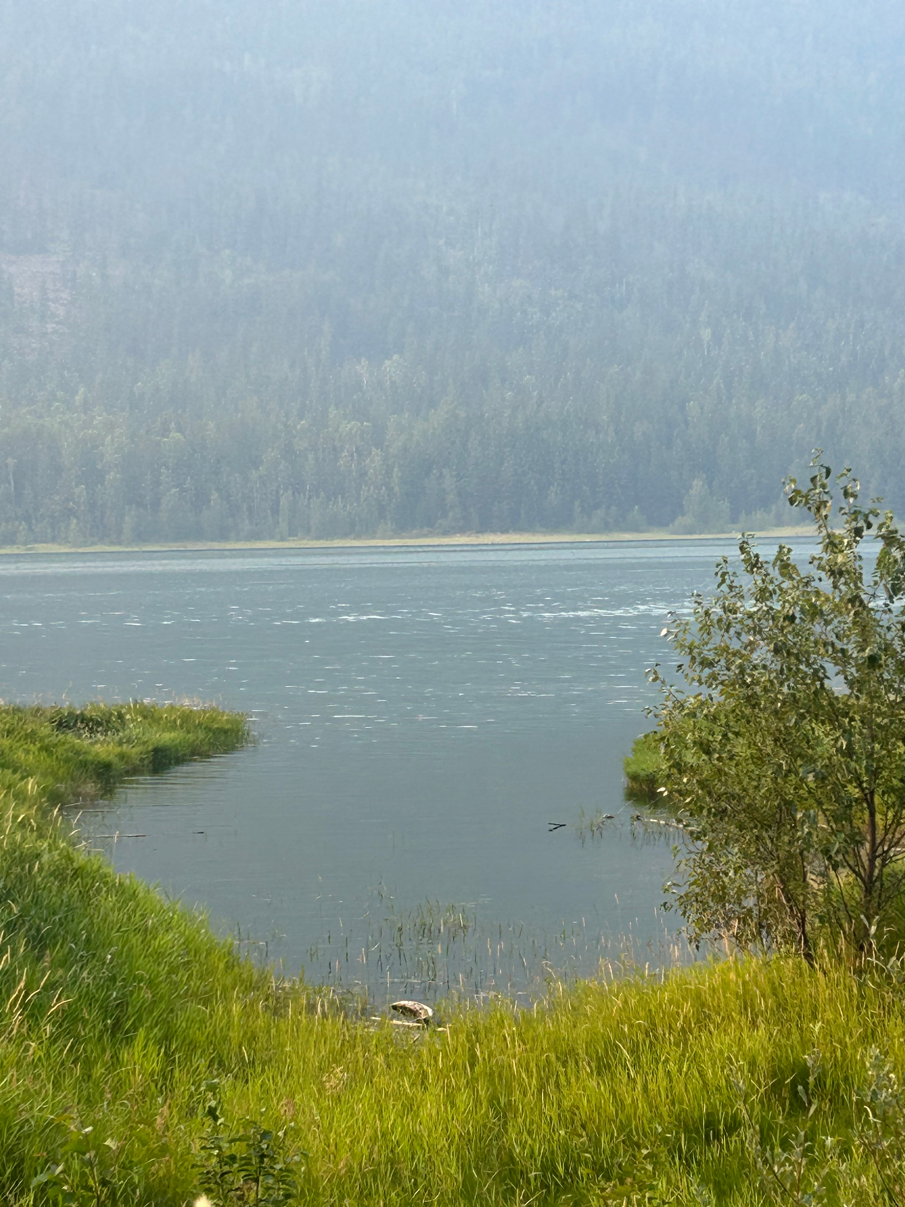 Blue Heron Point