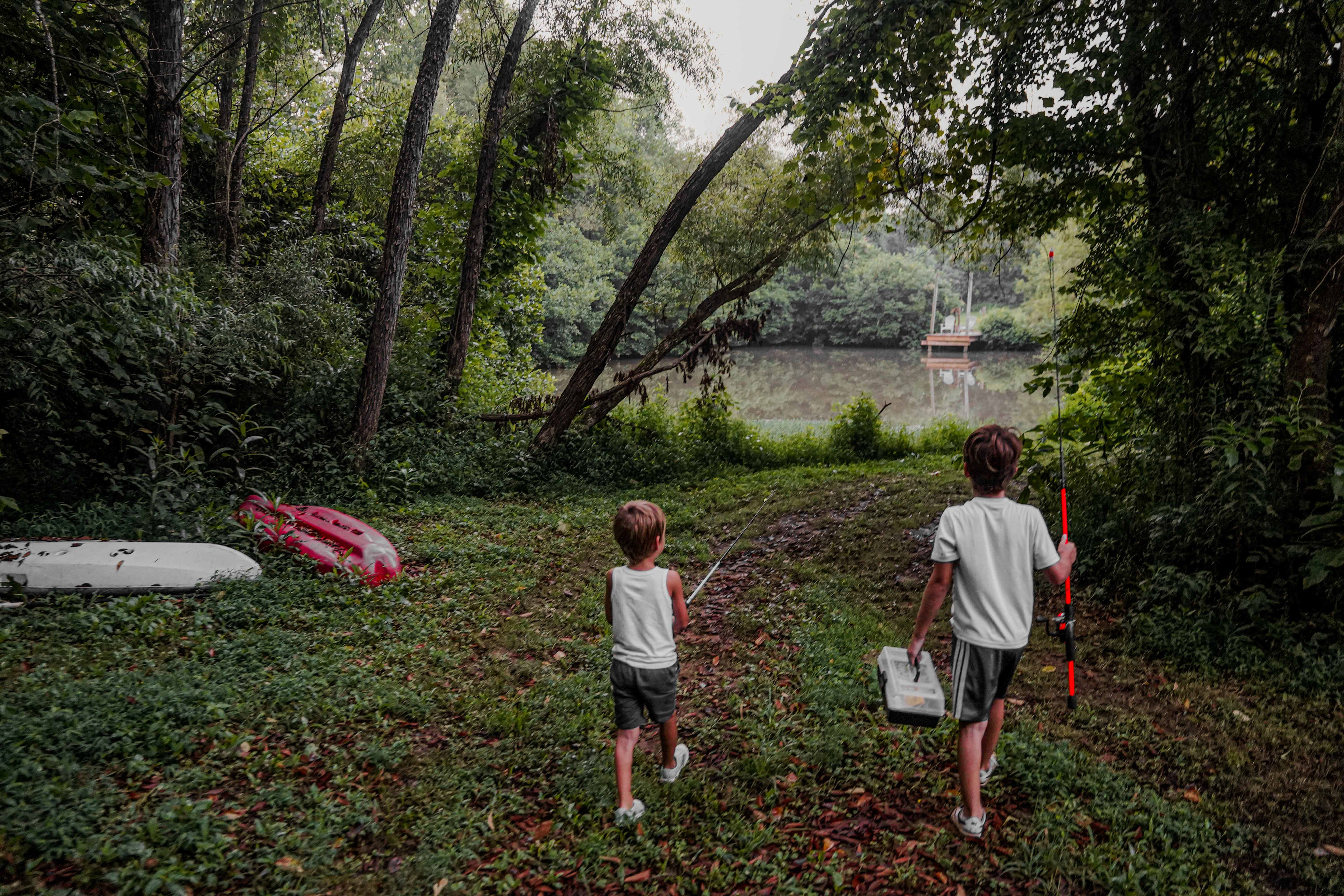 Meadowview Springs