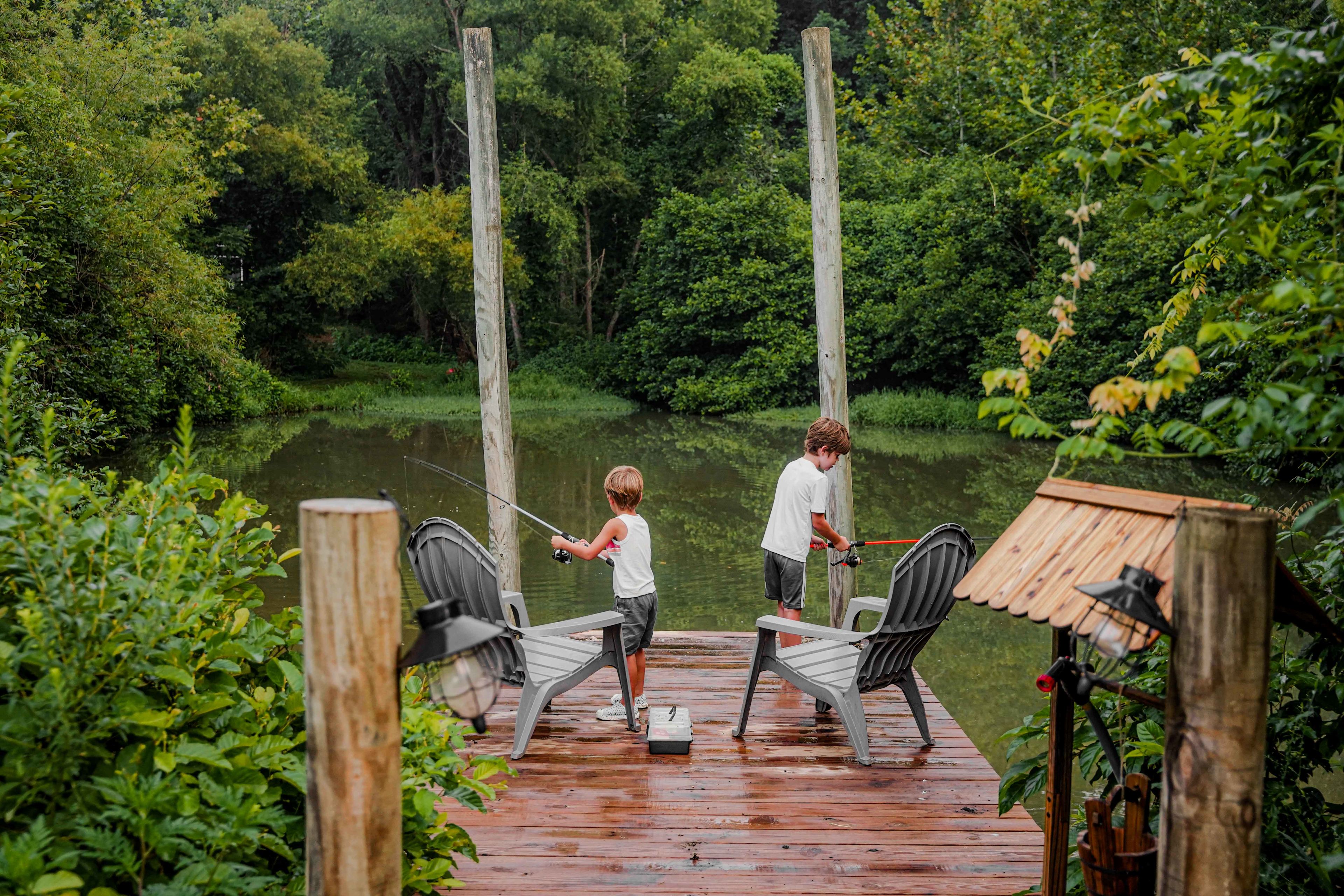 Meadowview Springs