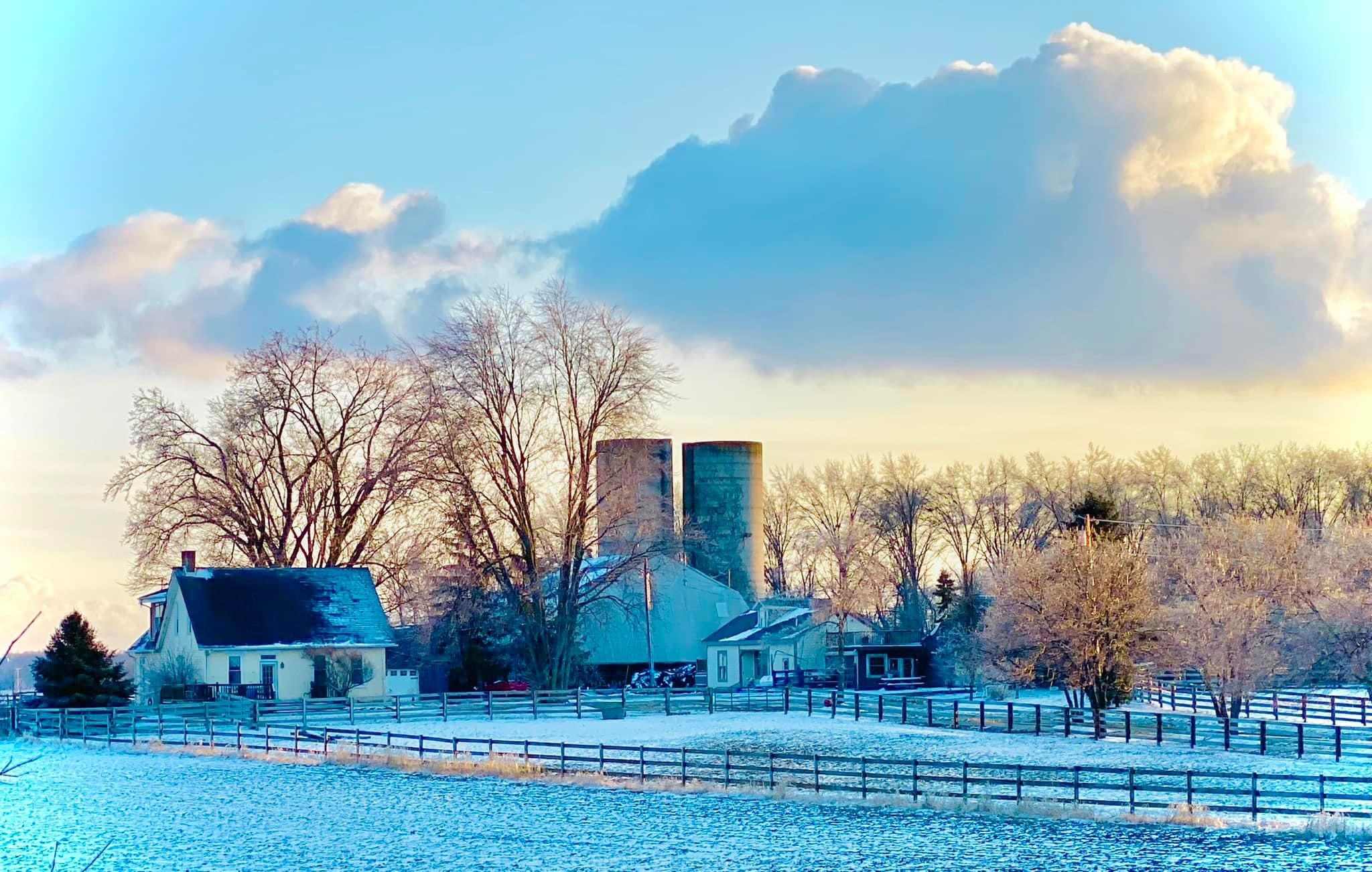 Old Oak Farm