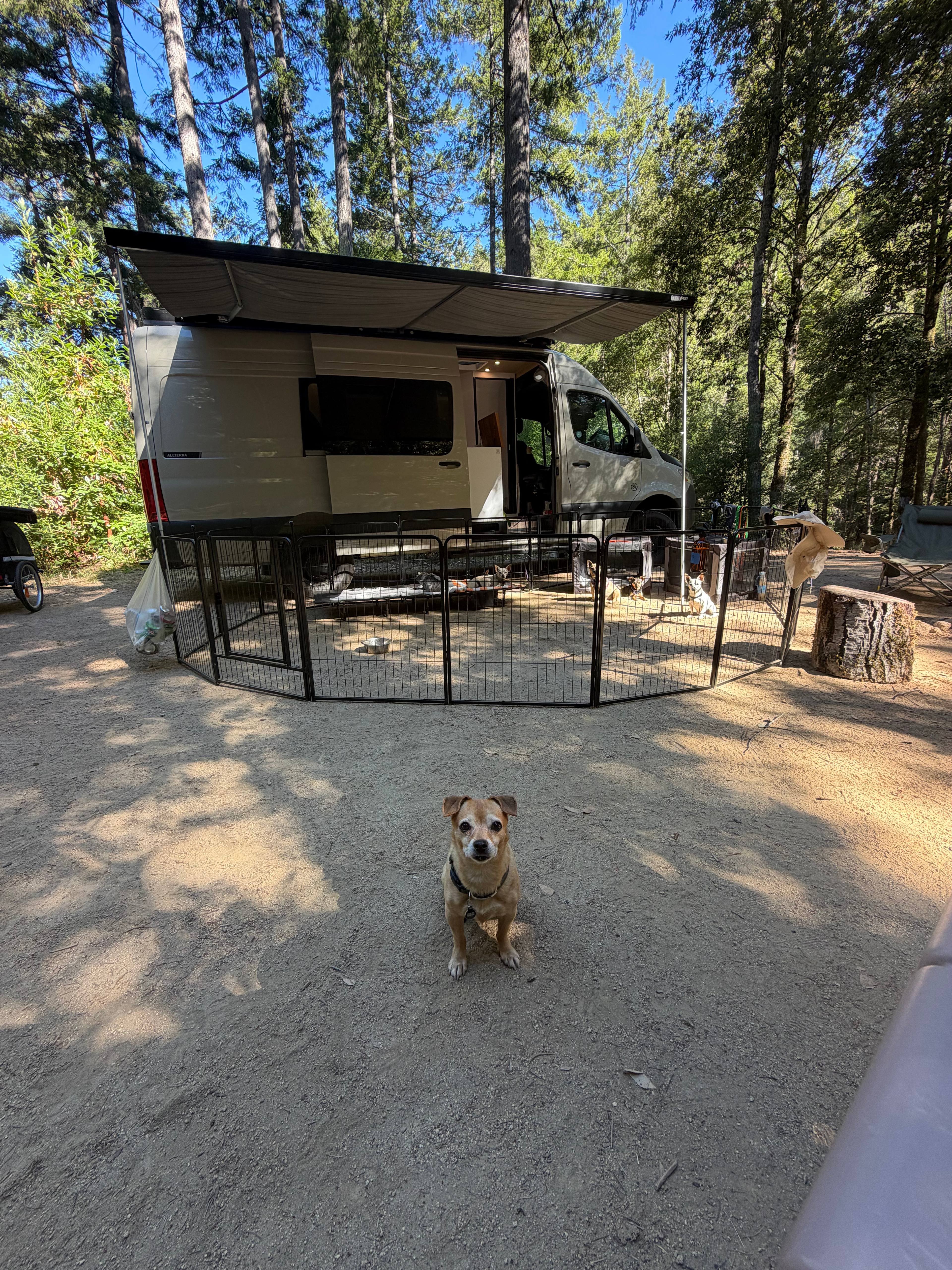 BANKS RANCH IN THE REDWOODS