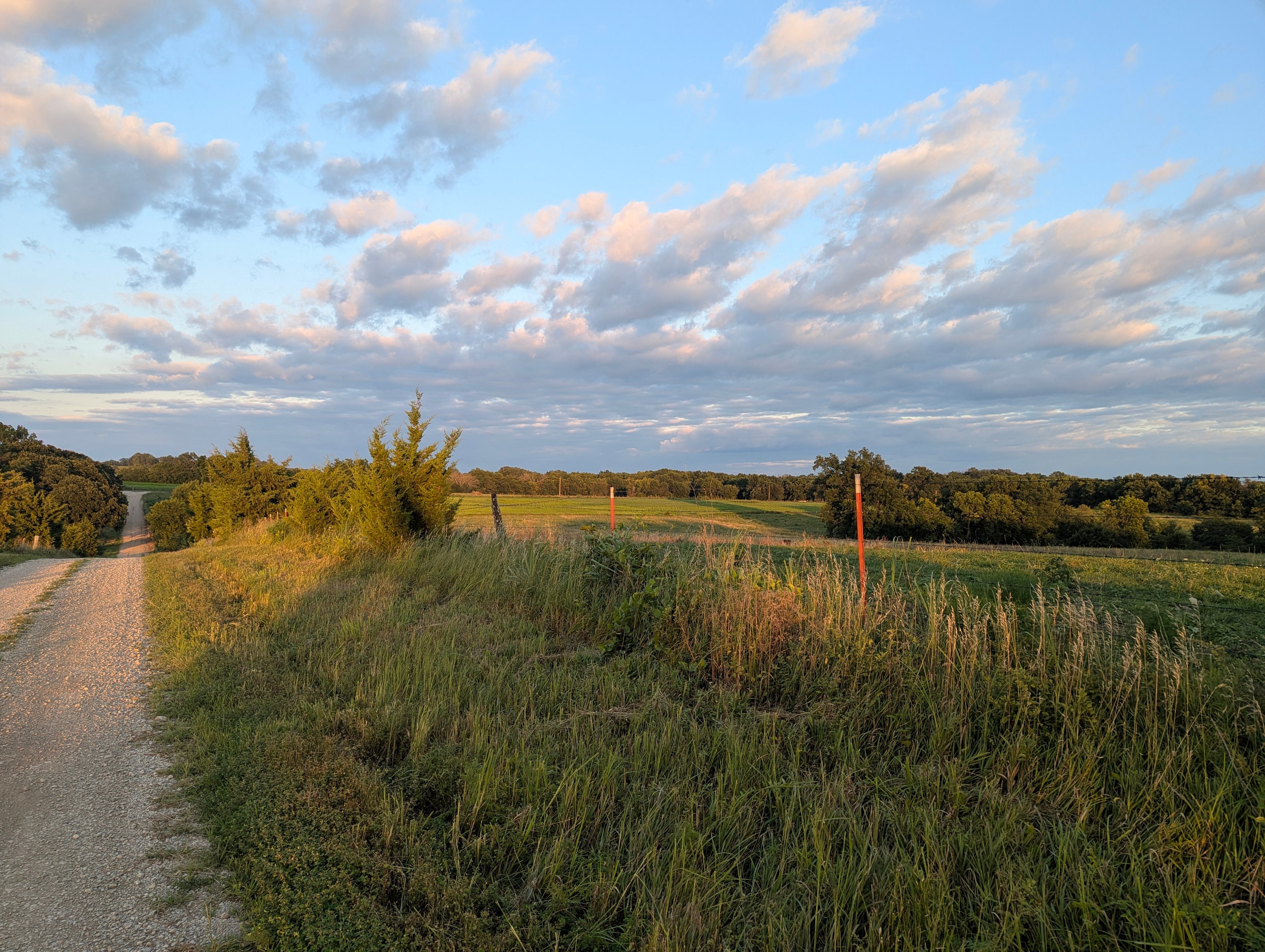 View of the land from the gravel road.