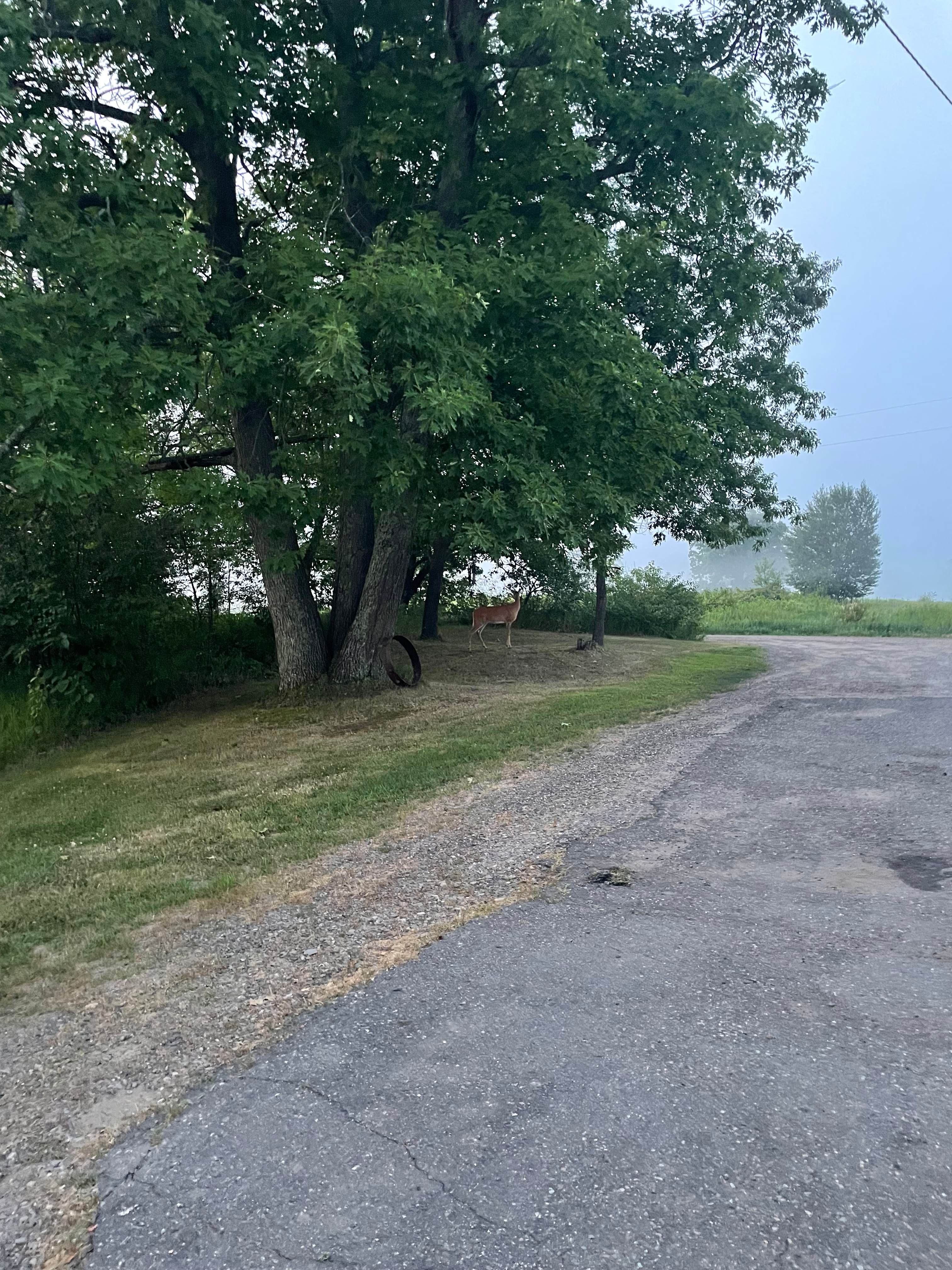 Gu Brath Acres