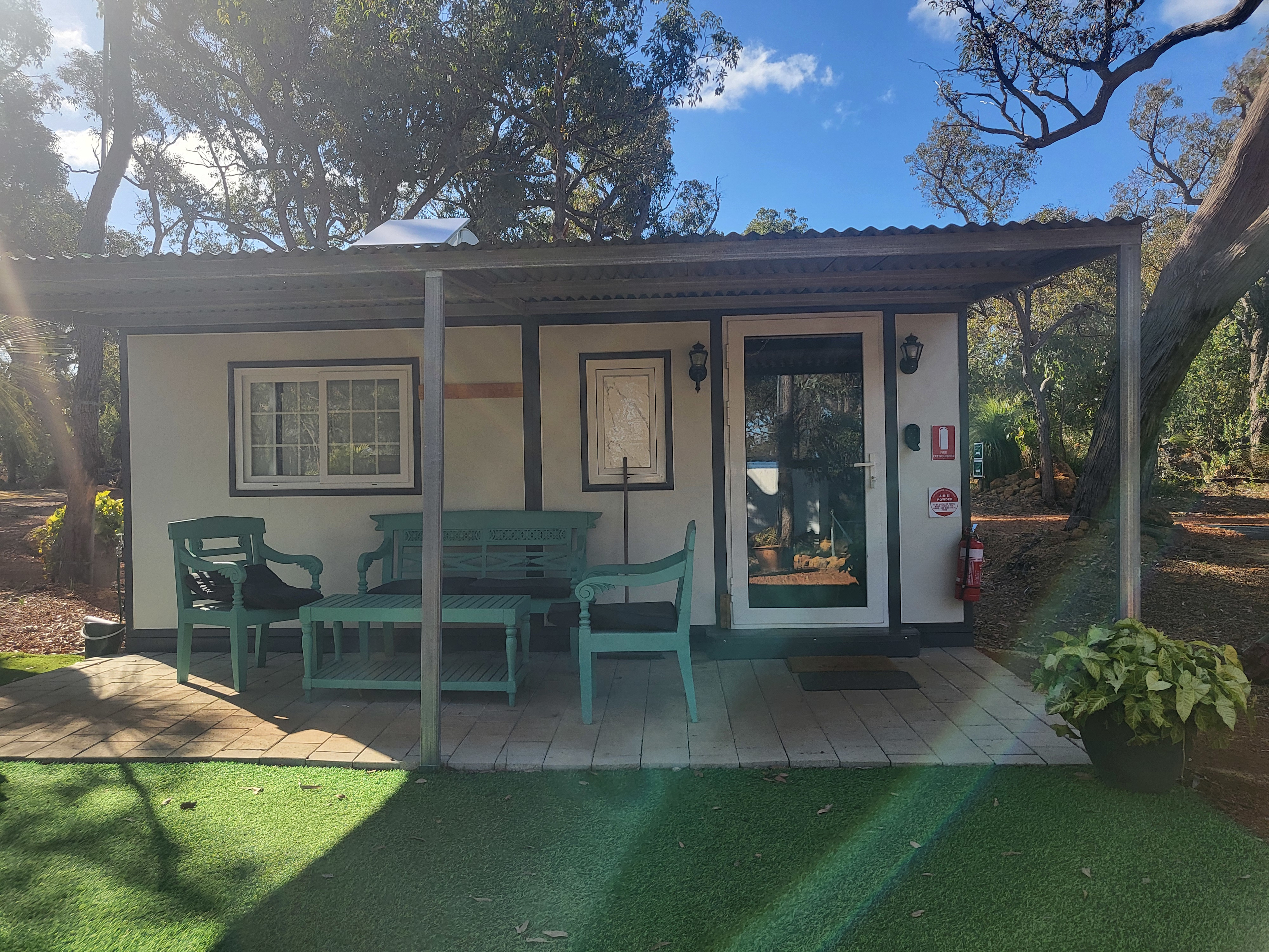 Evergreen Bush Stayz