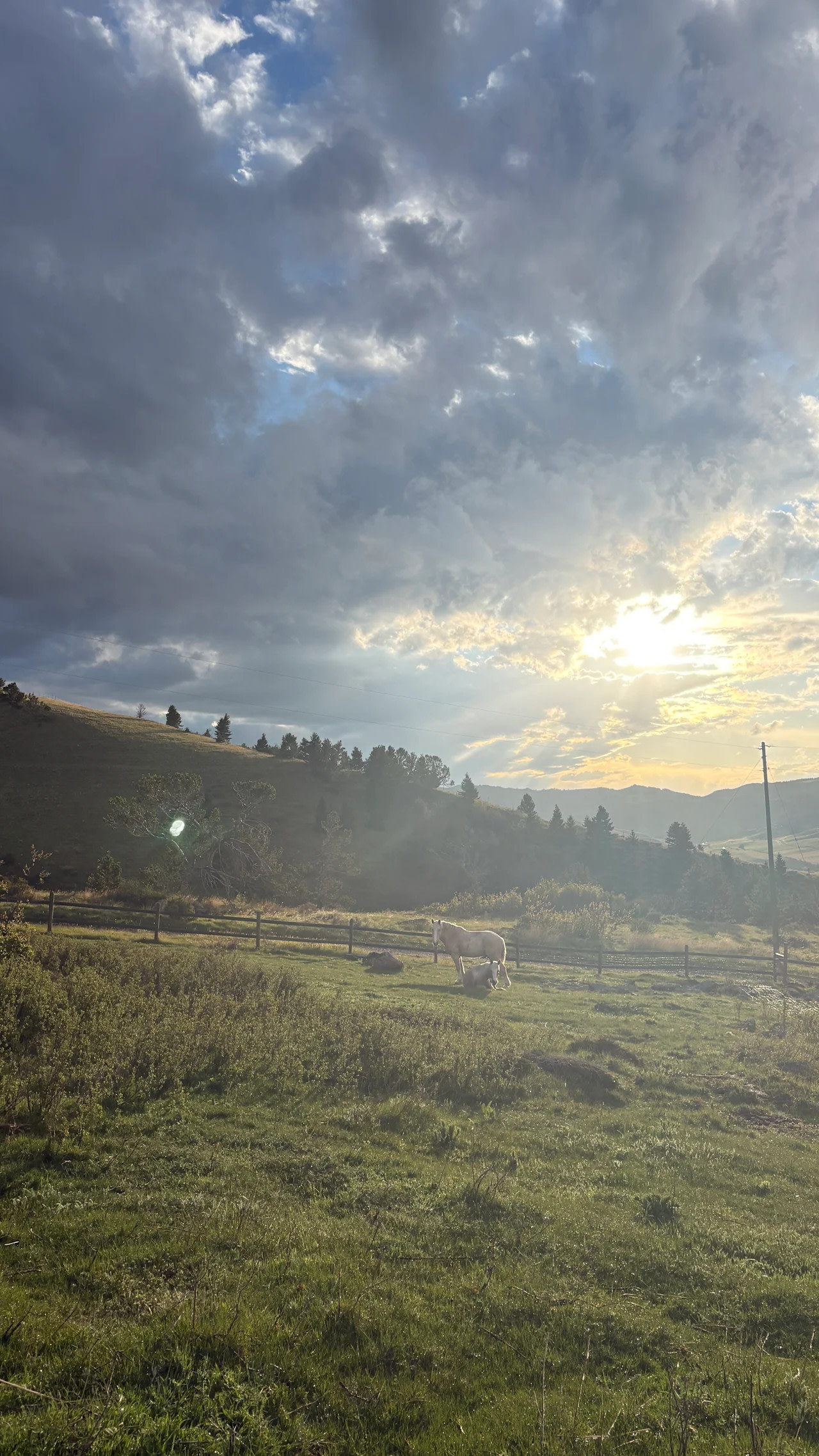 Shepherd's Lookout