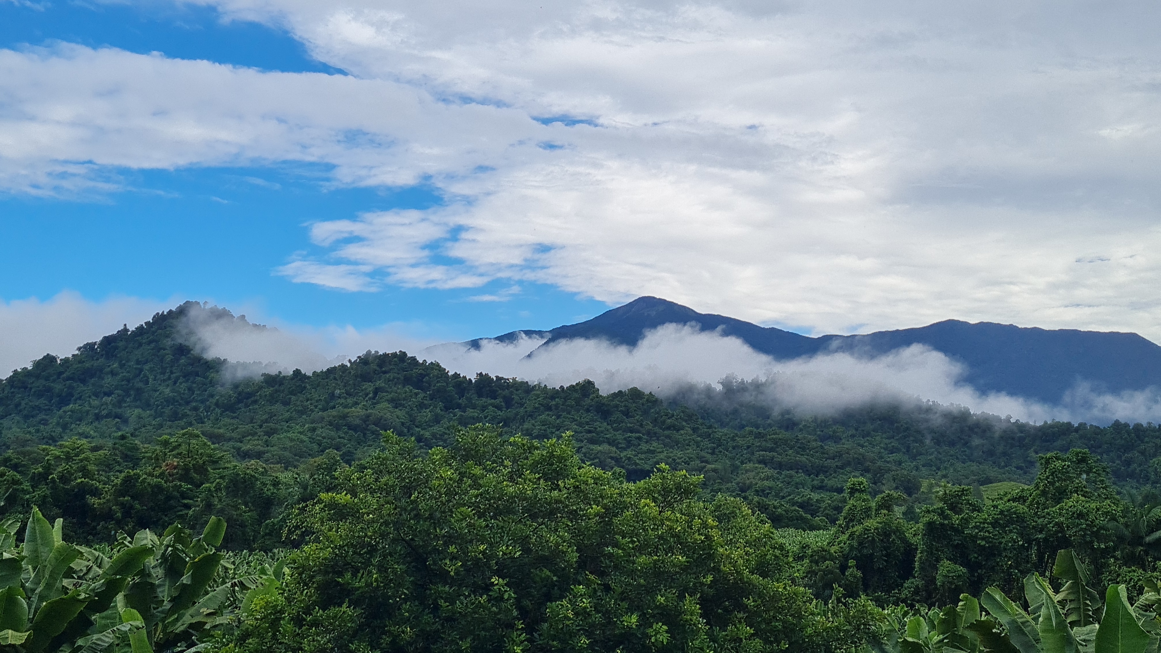 Mount Bartle Frere from the communal lookout. 