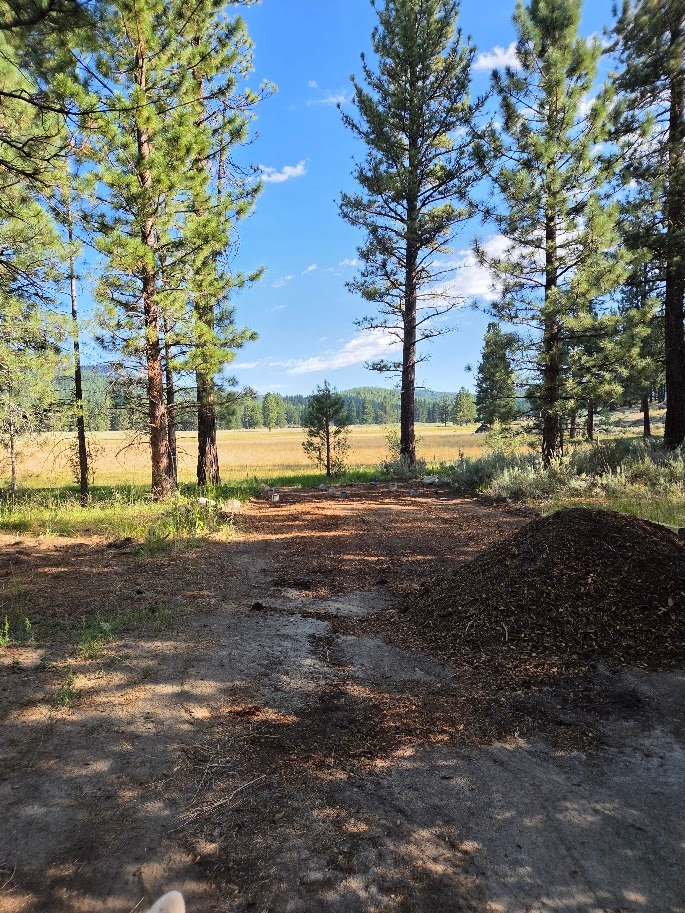 Meadow View (Tent provided)