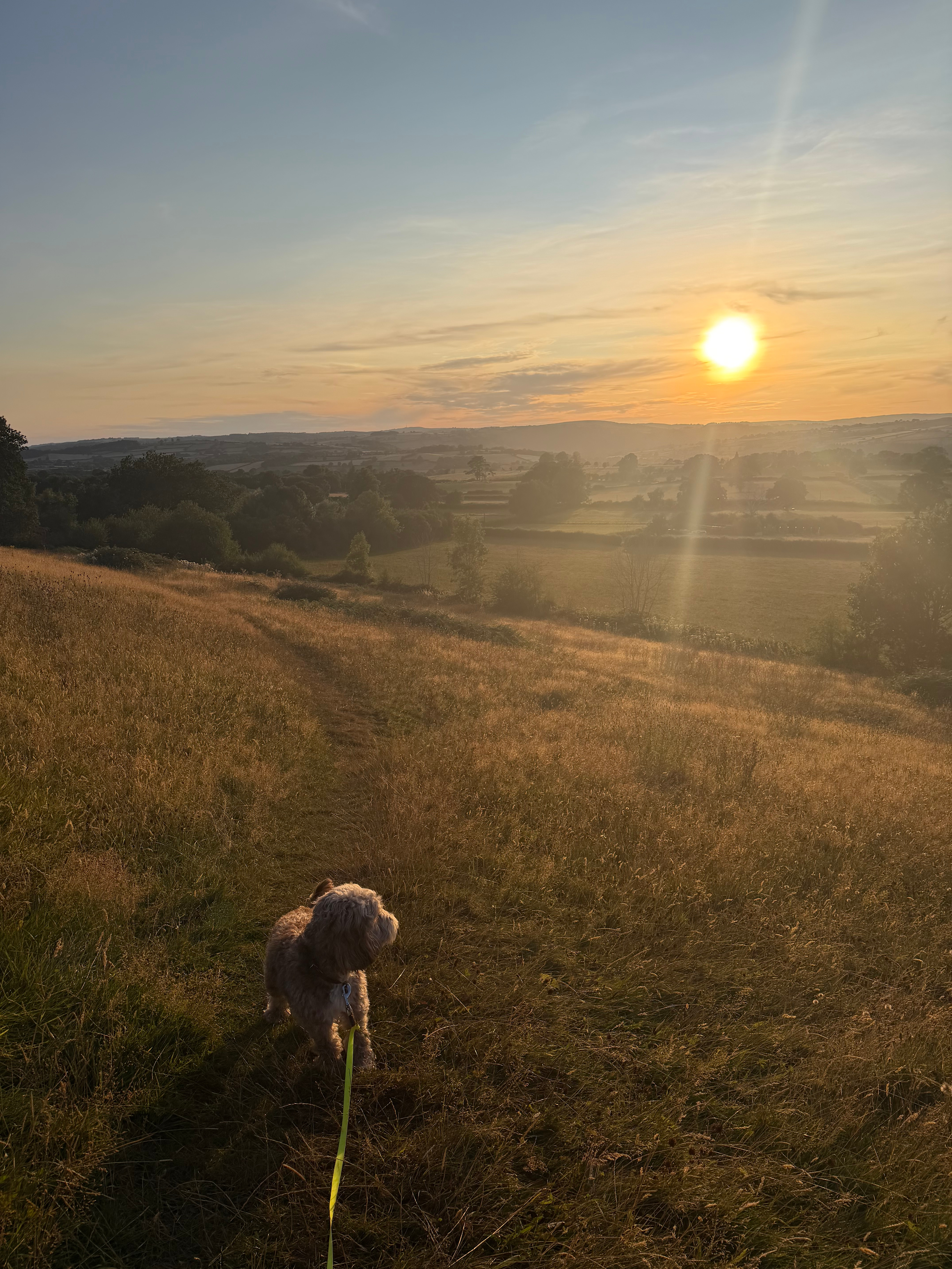 Newcourt Farm Campsite