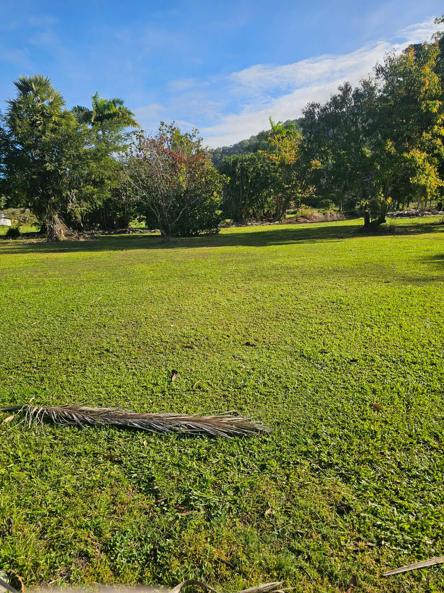 Mowbray Meadows
