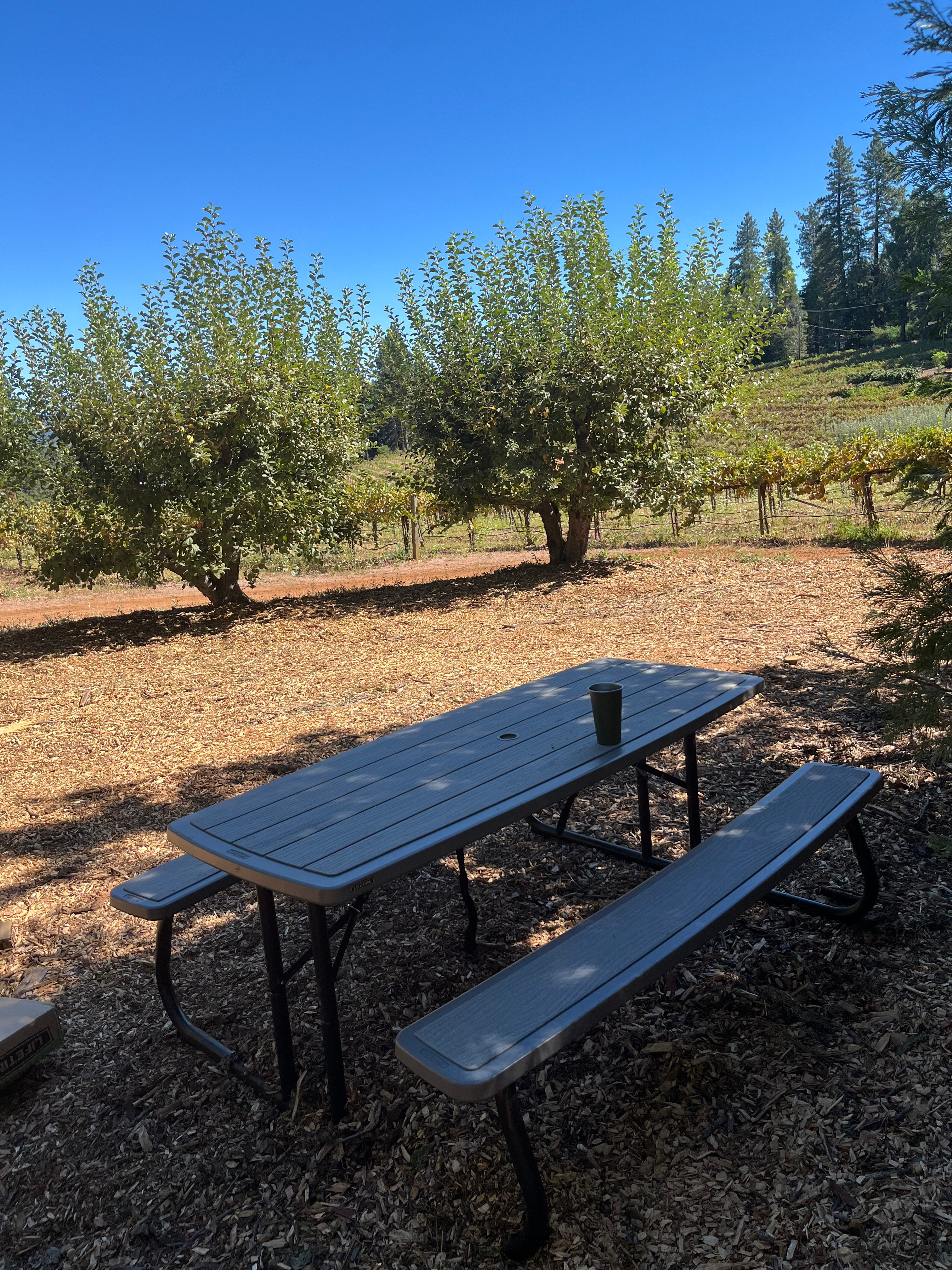 Cedar and Sage Farms