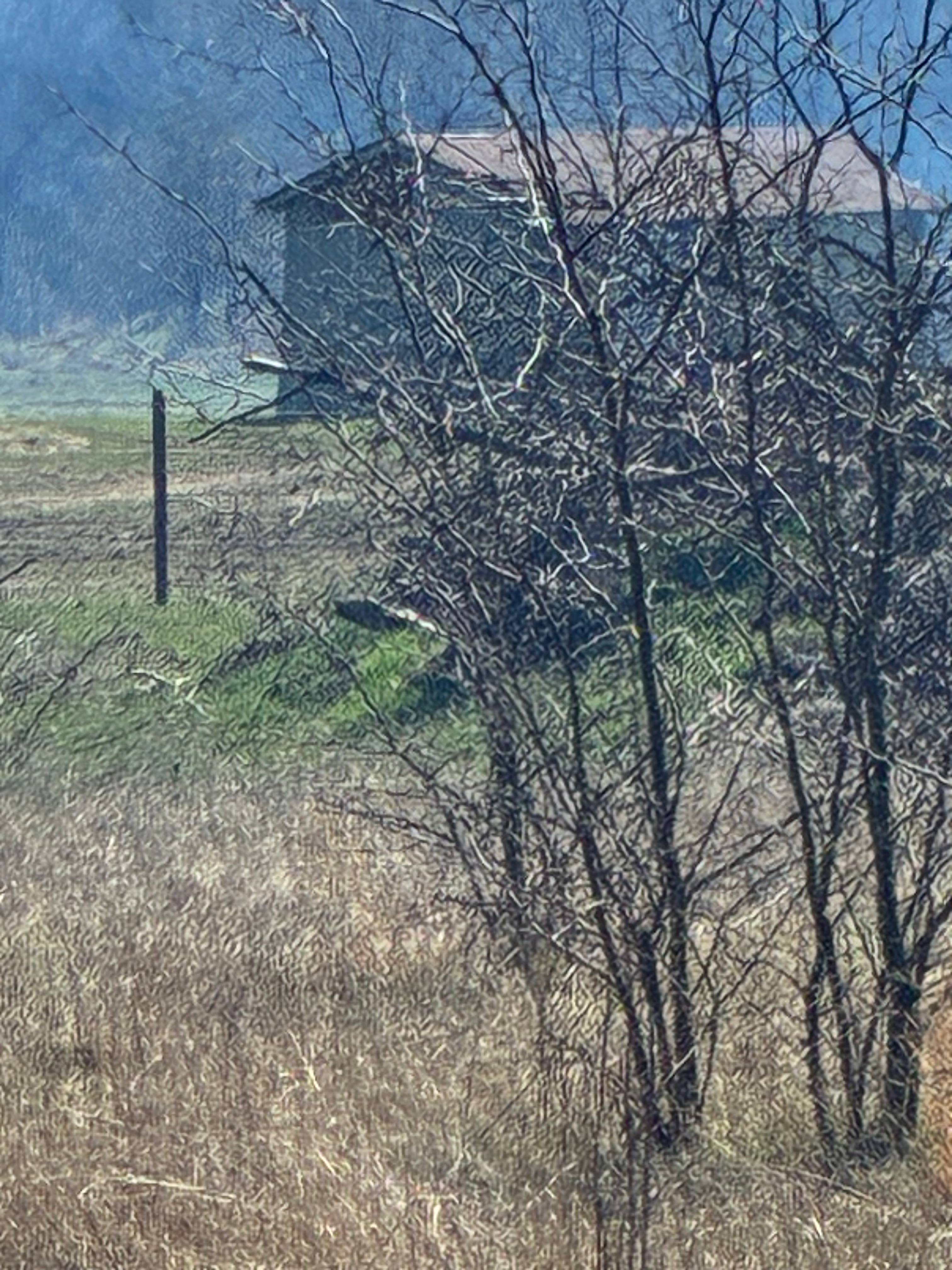 Woodard Heritage Farm LLC