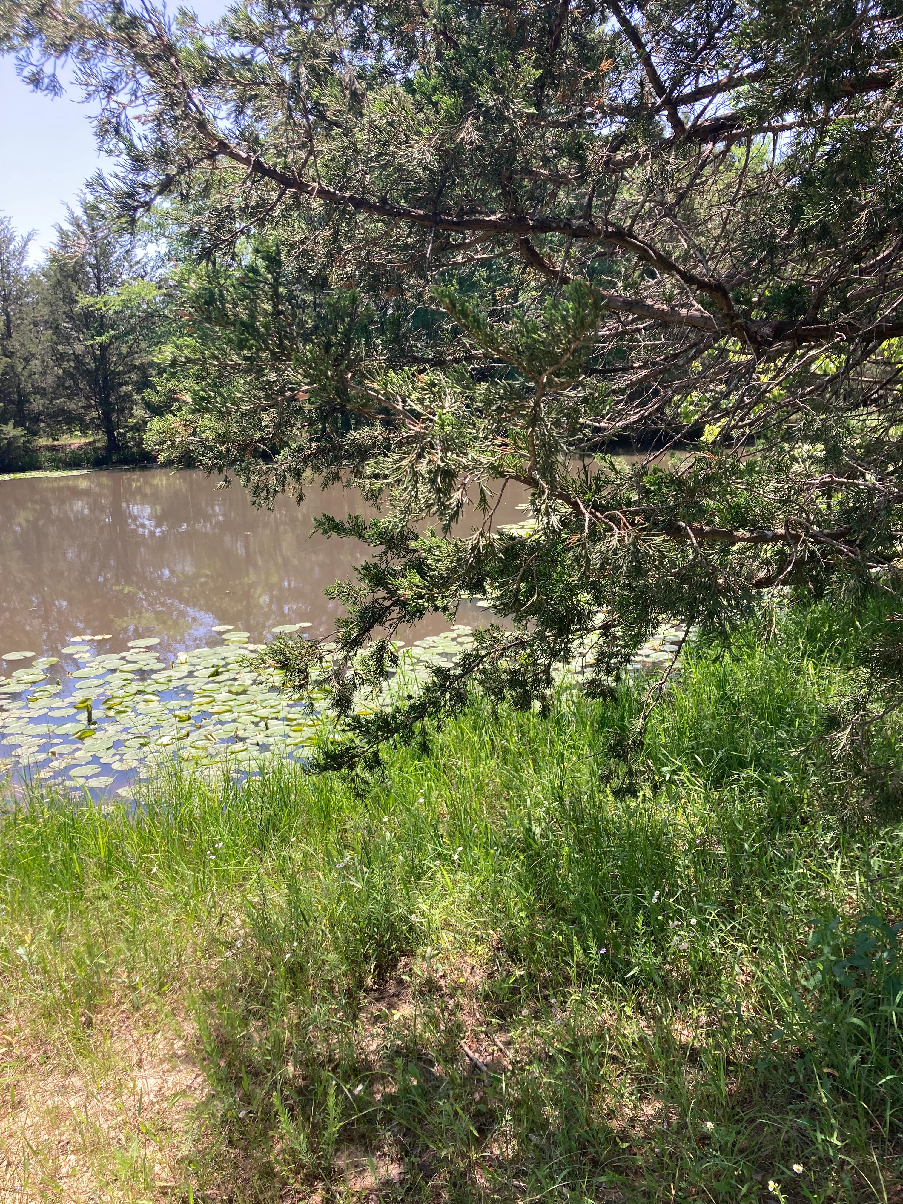 Woodard Heritage Farm LLC