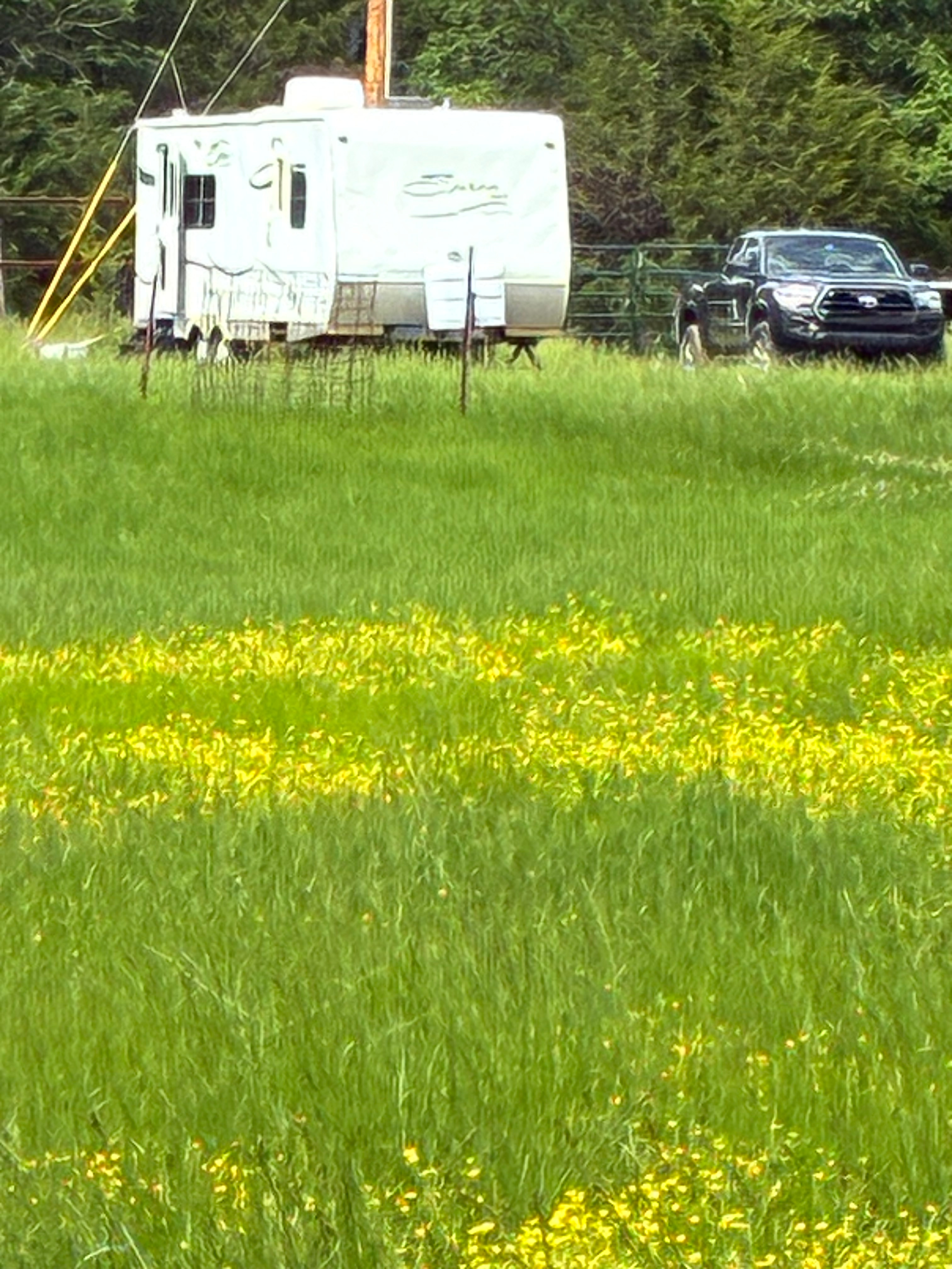 Woodard Heritage Farm LLC