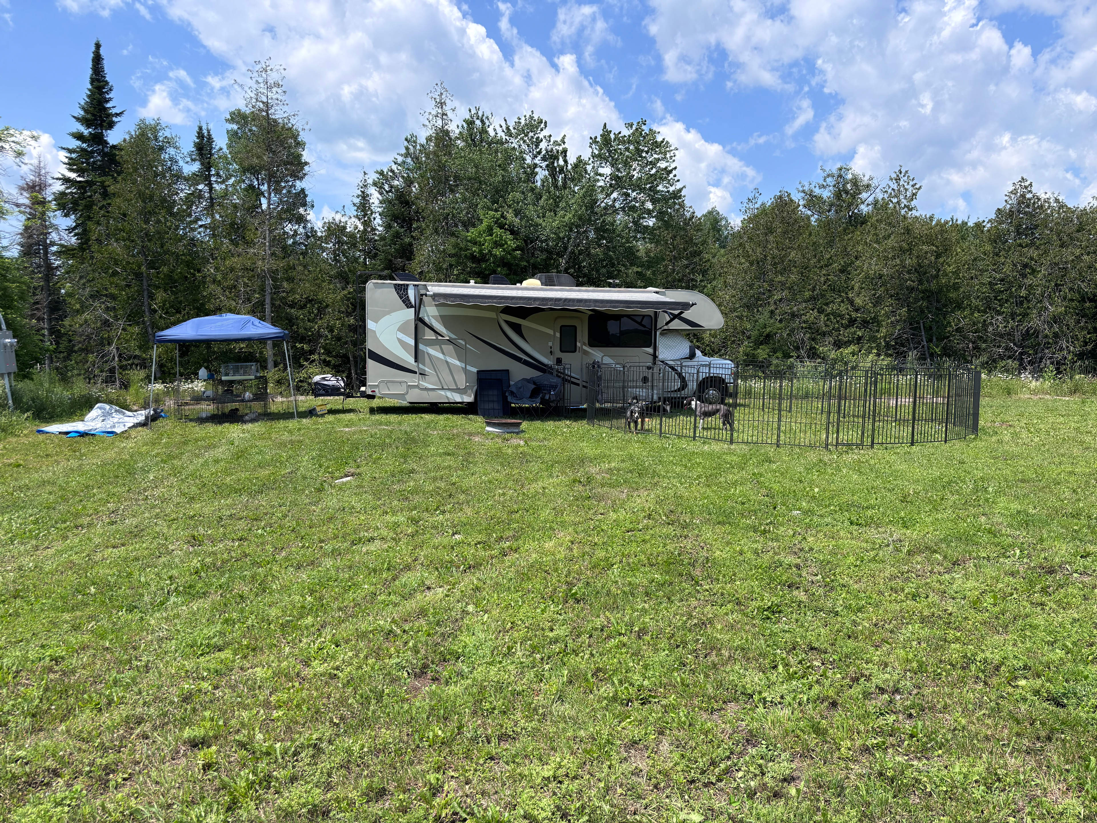 Camp Cryptid Creek