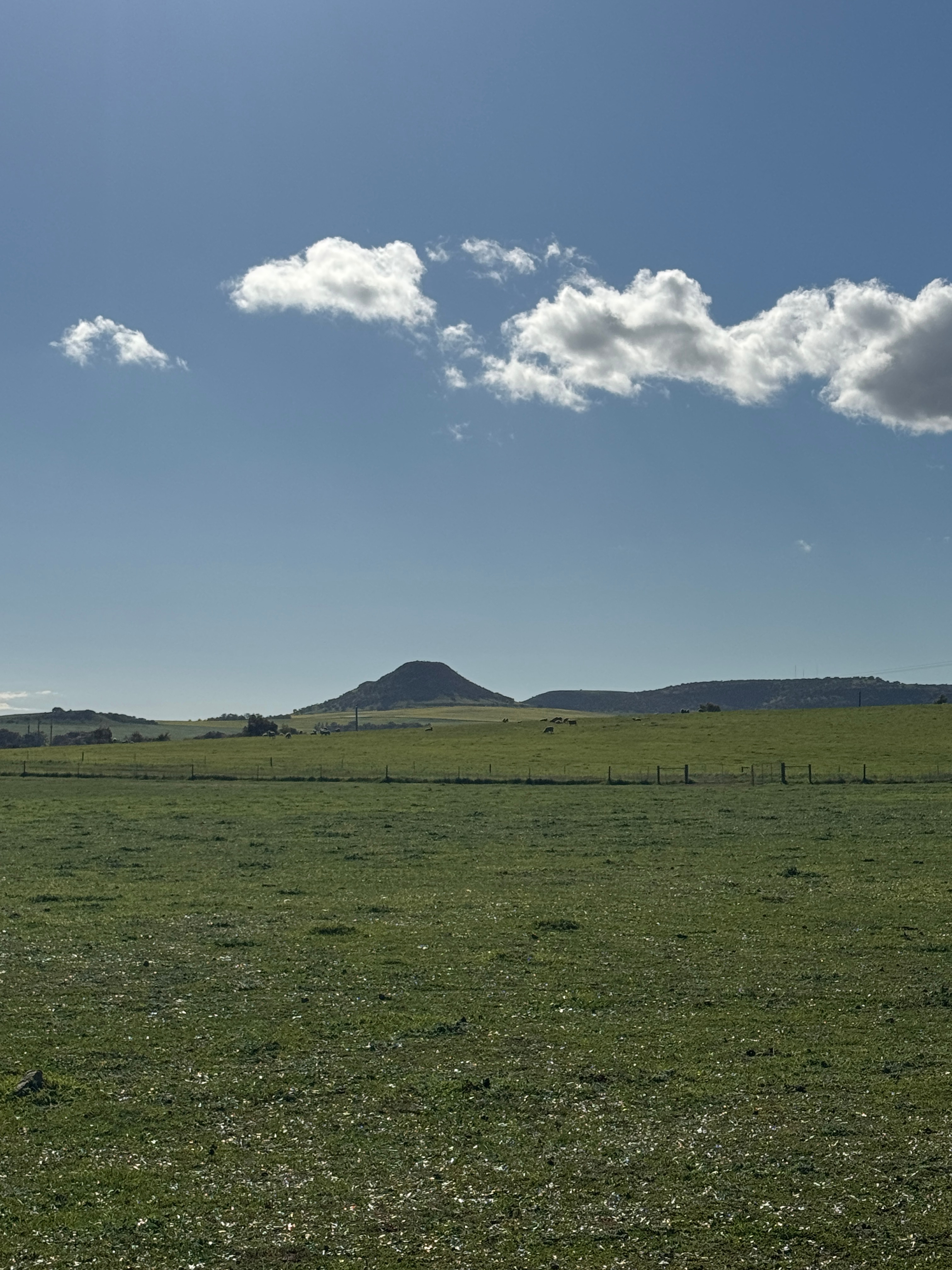 Cutubury Farm