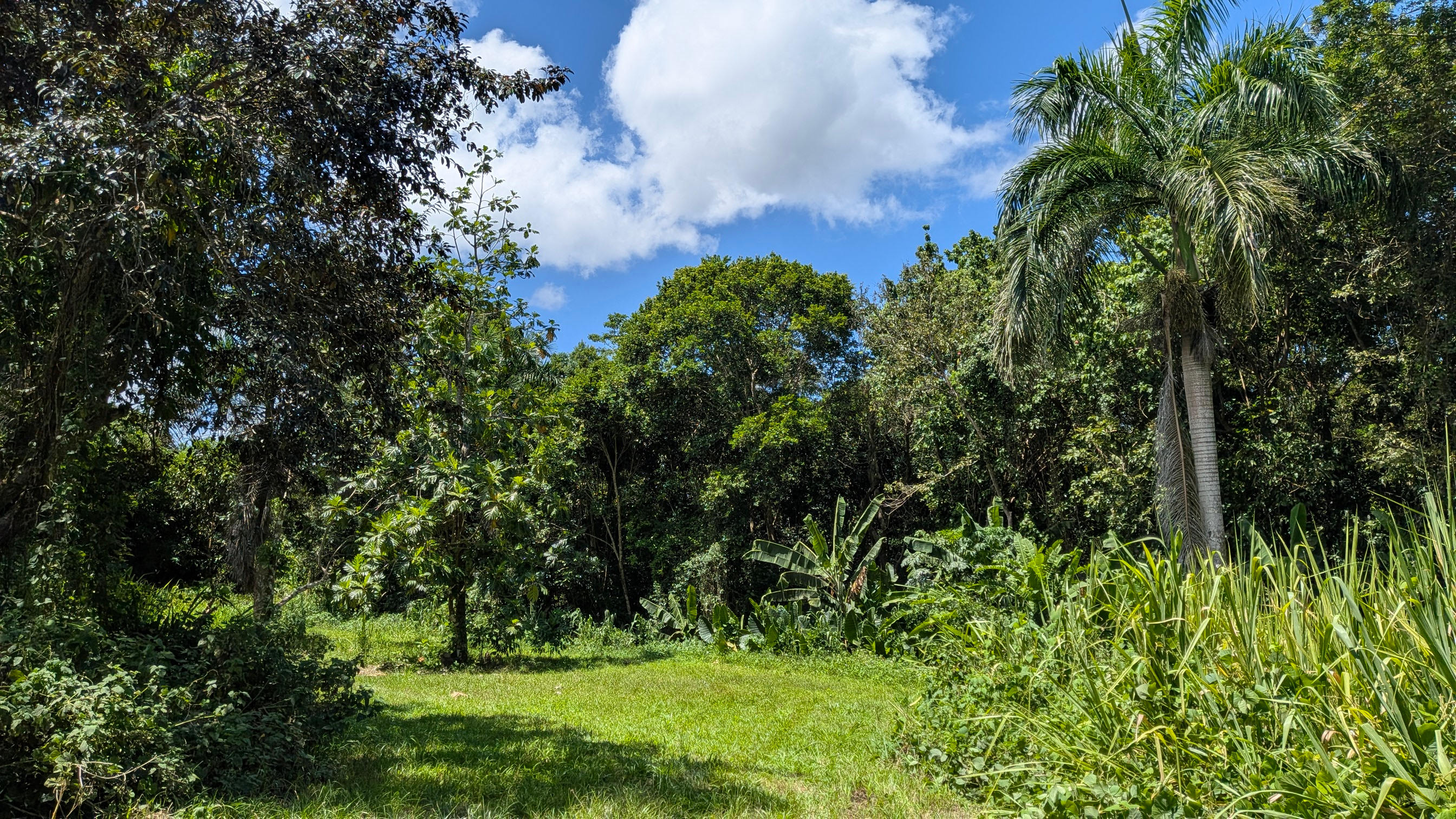 Nalex Campground