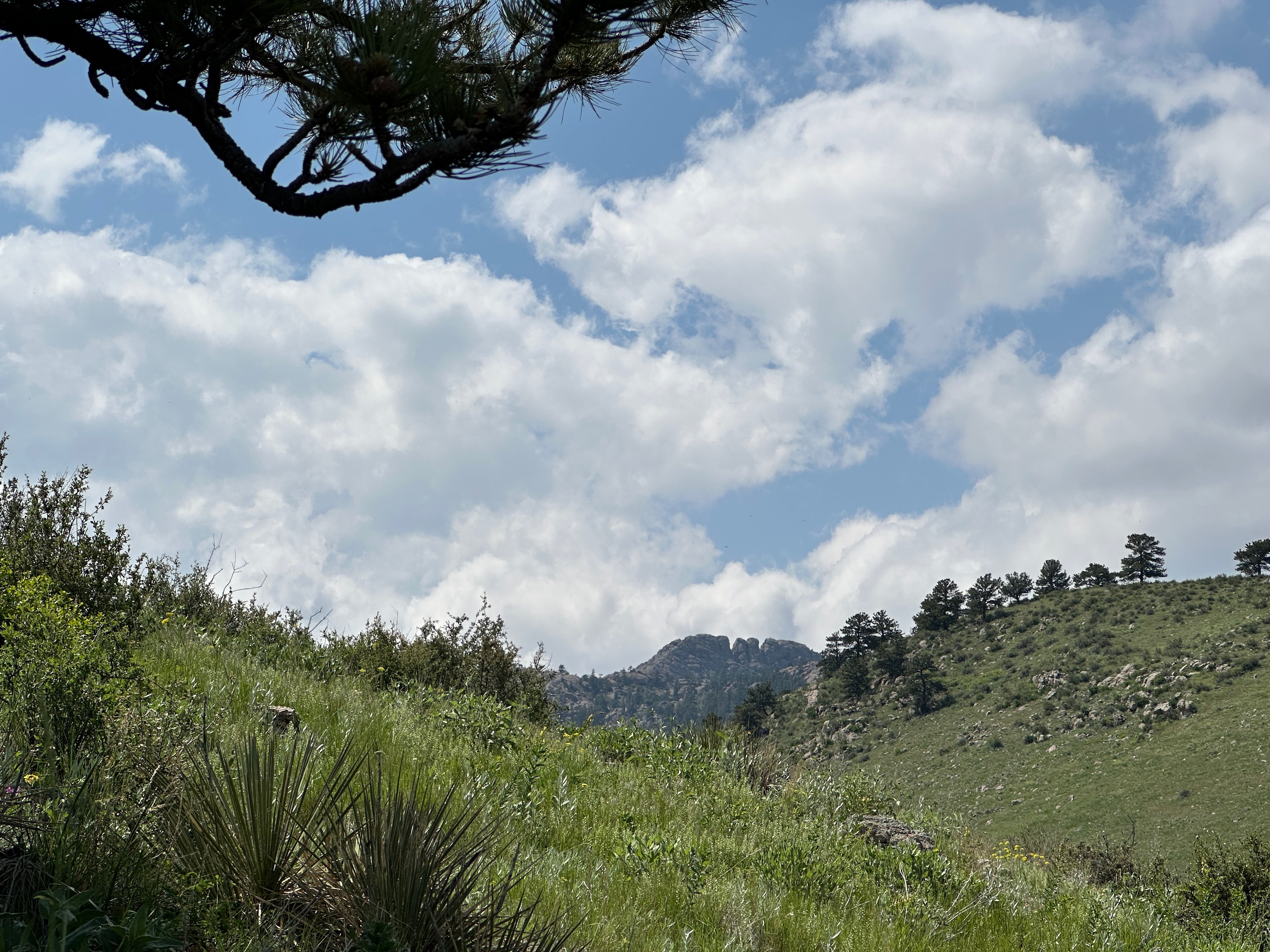 Horsetooth Panorama Point