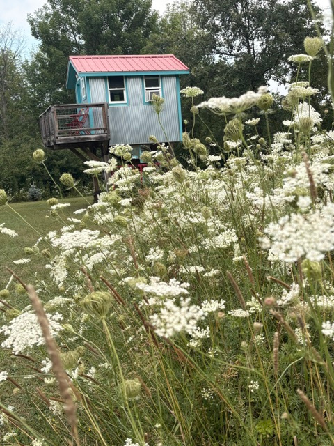 Hattie Shack