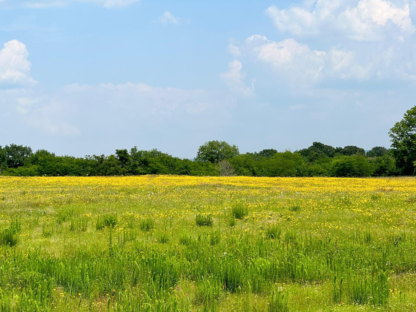 Private 80-Acre Oklahoma Escape