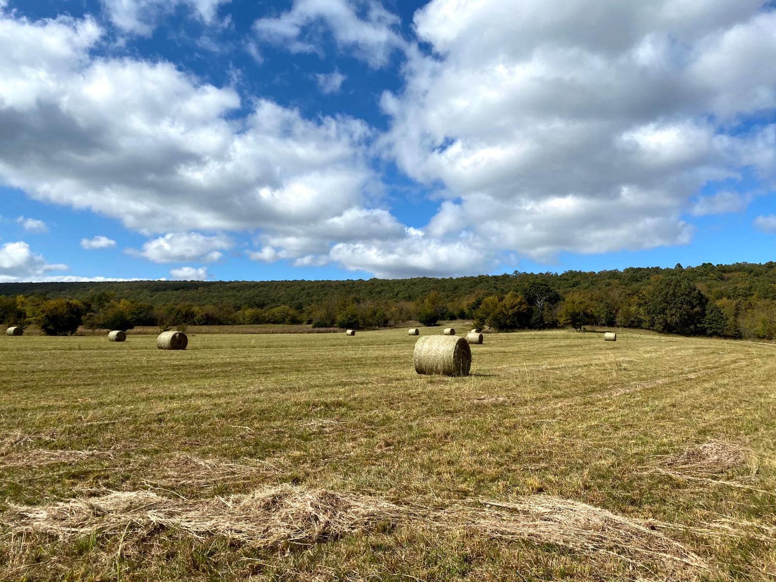Private 80-Acre Oklahoma Escape