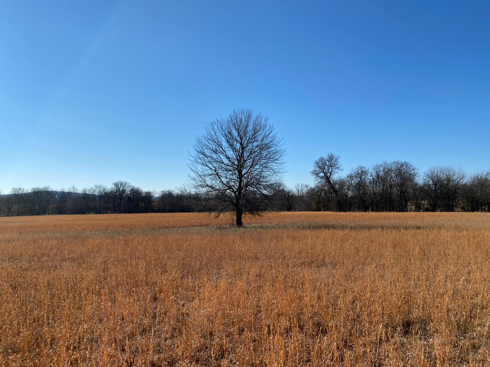 Private 80-Acre Oklahoma Escape