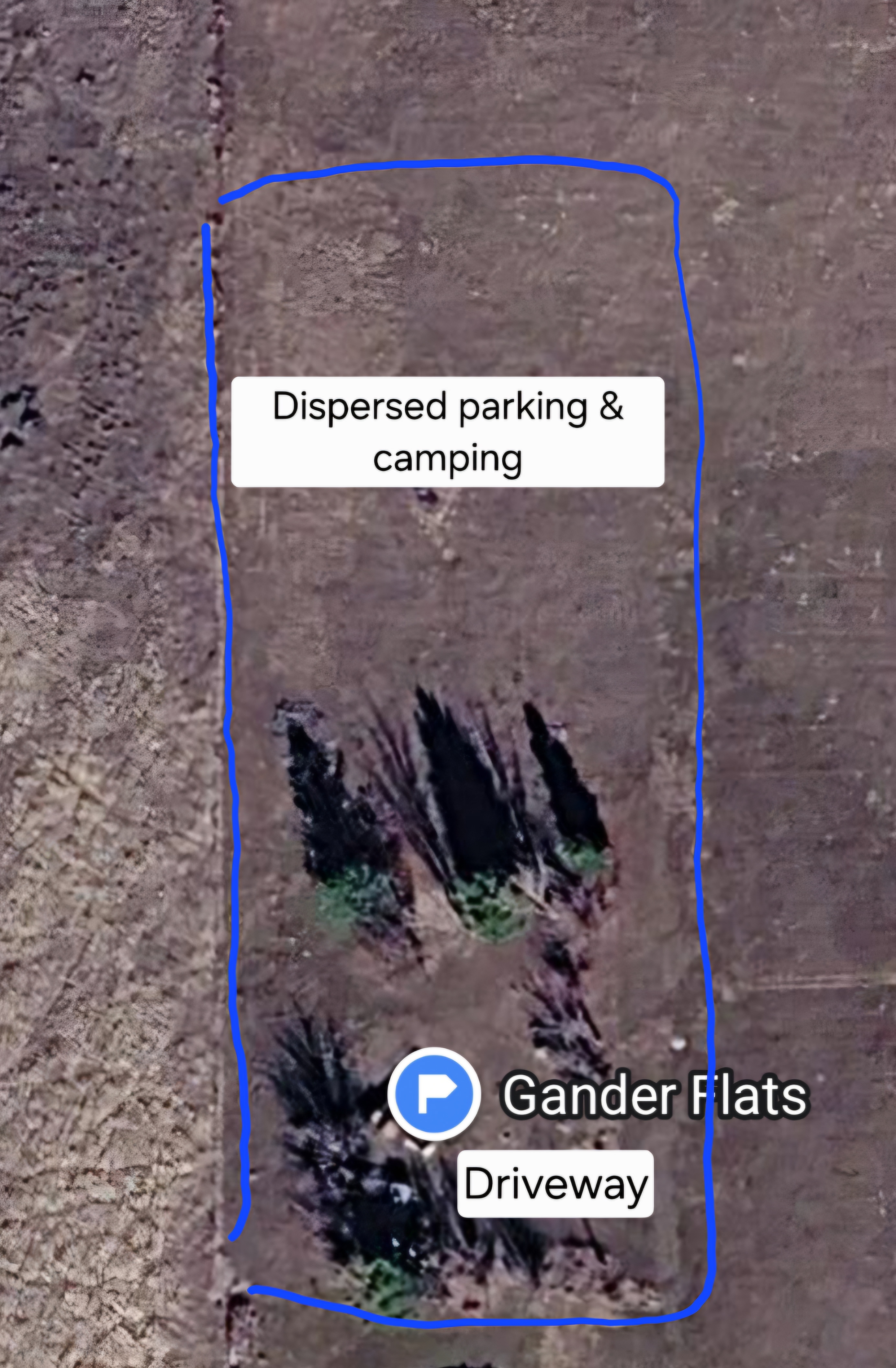 Gander Flats