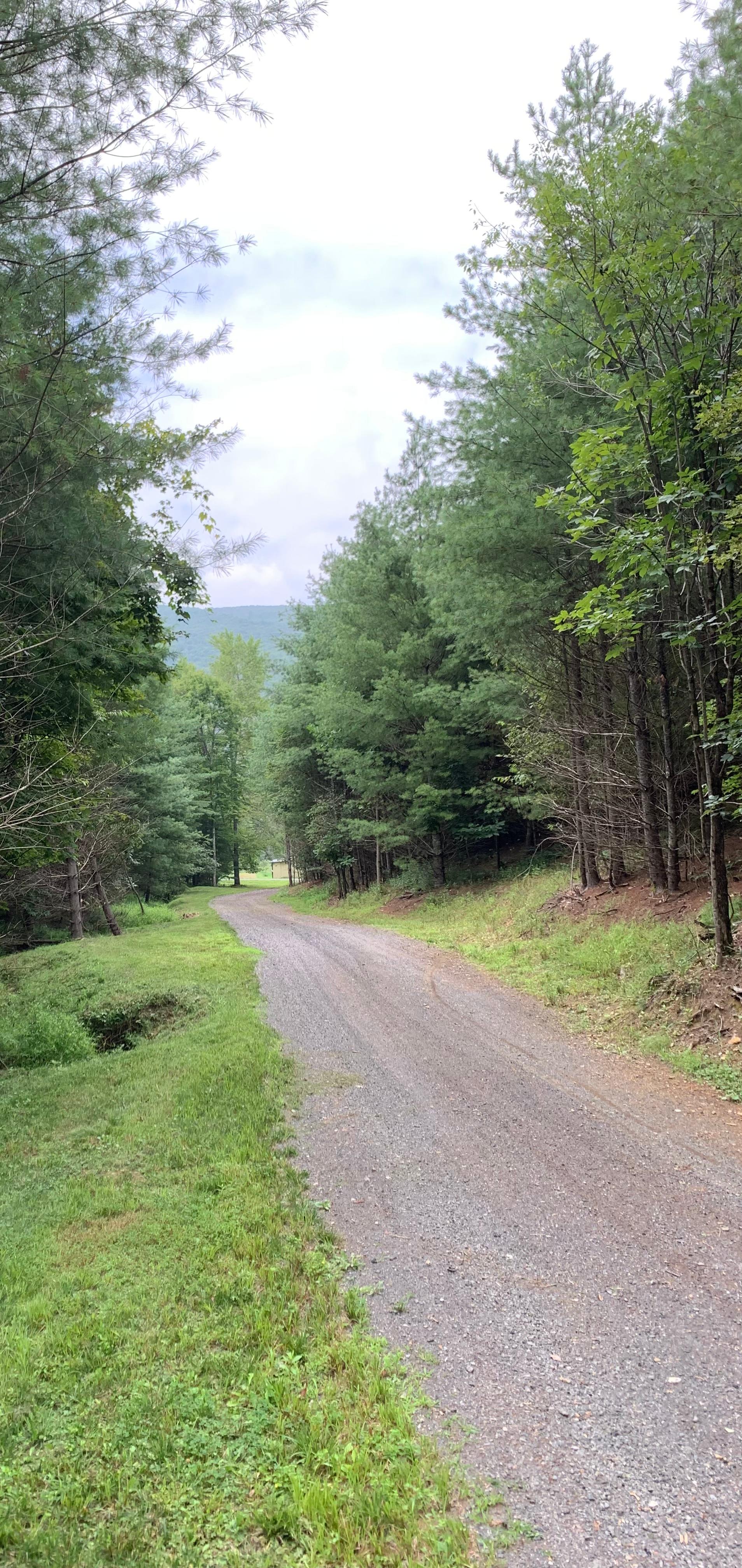The Quiet Ridge