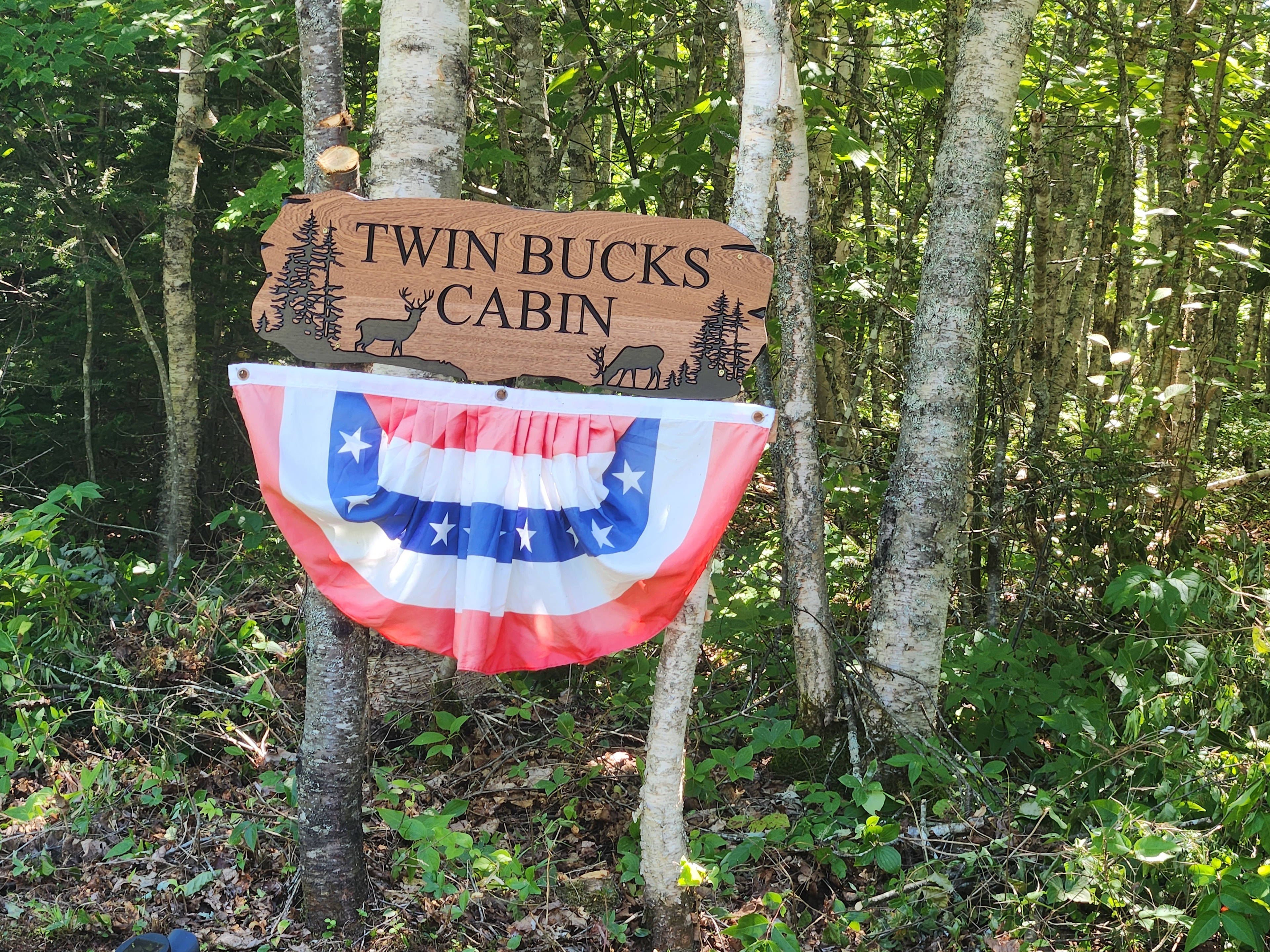Twin Bucks Cabin 🦌🦌