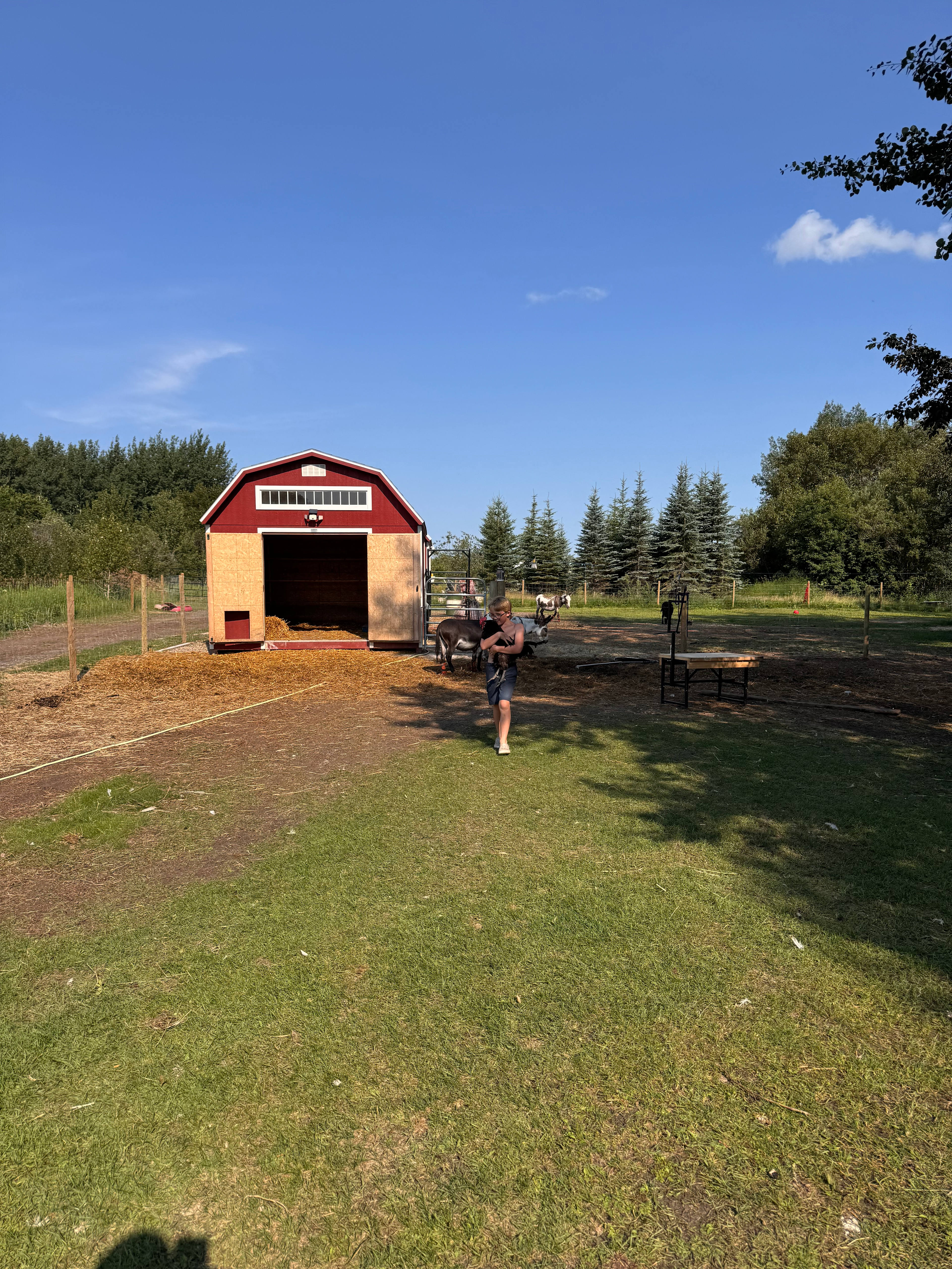 Happy Hart Homestead
