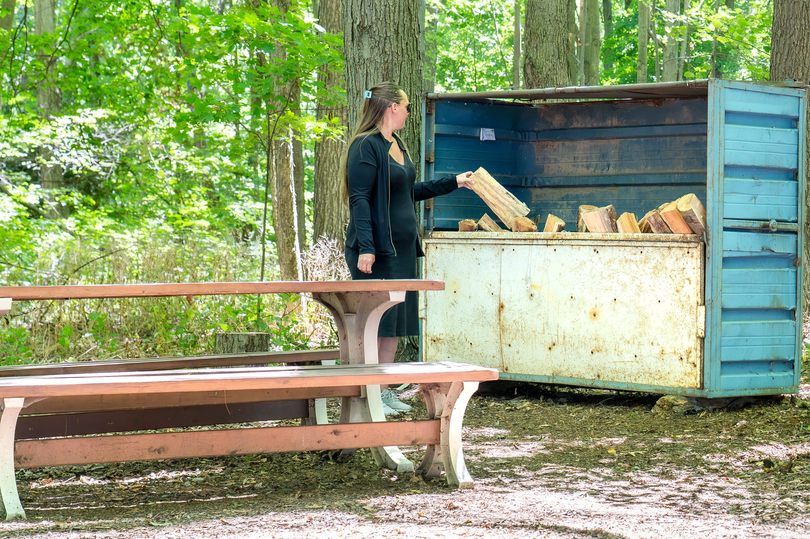 Spring Arbour Magic Forest &Trails!