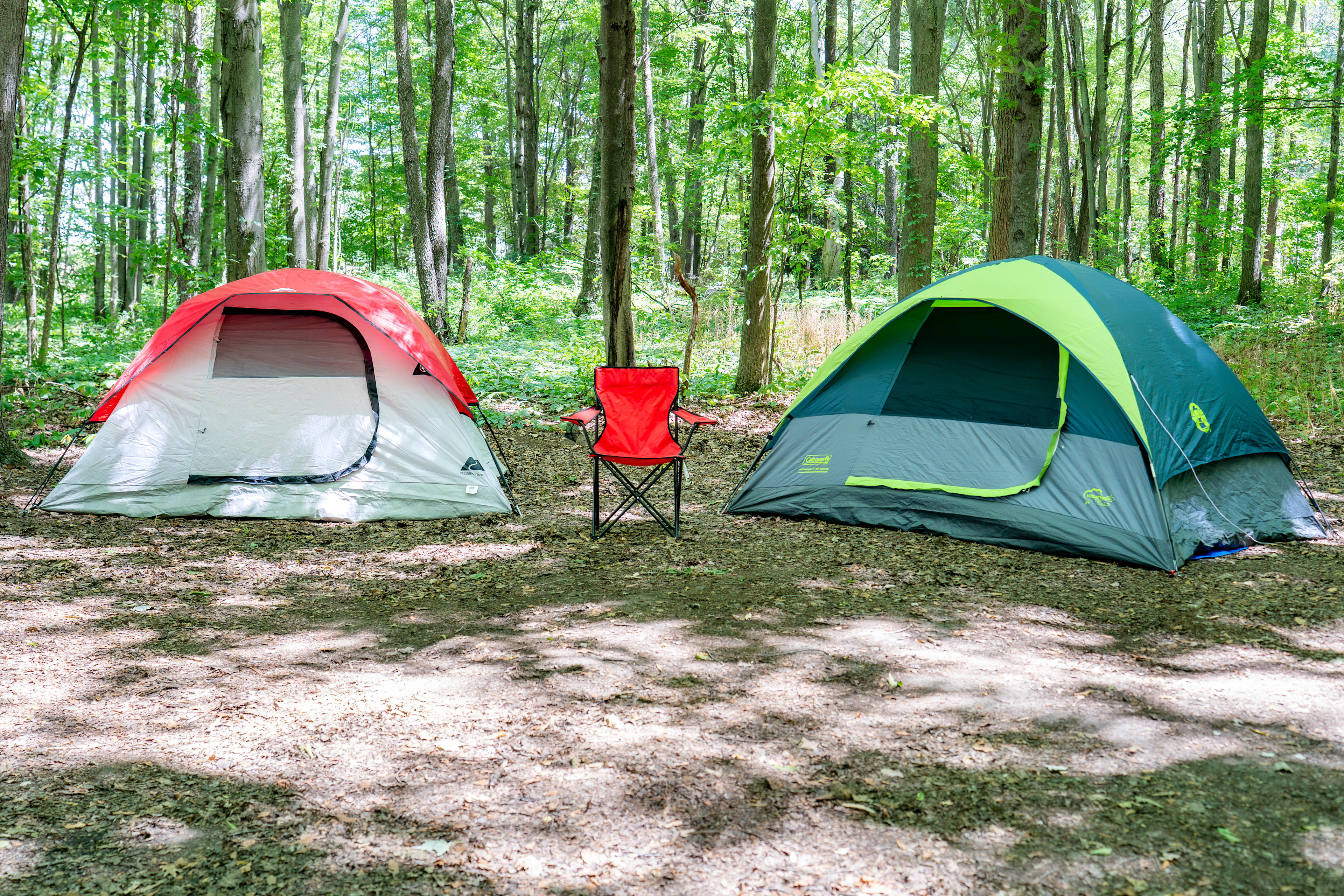 Spring Arbour Magic Forest &Trails!