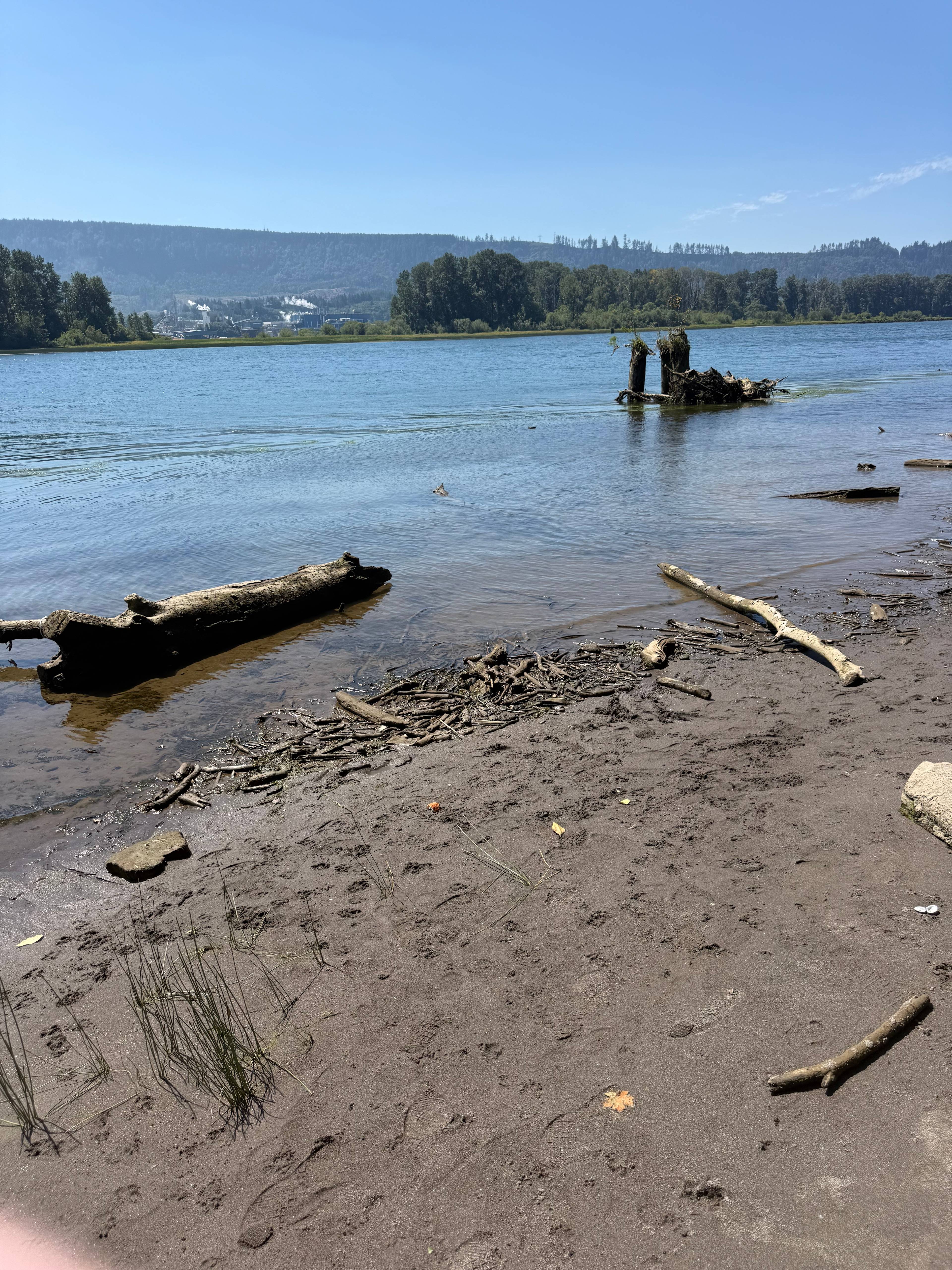 West Sunny Sands Beach Campsites