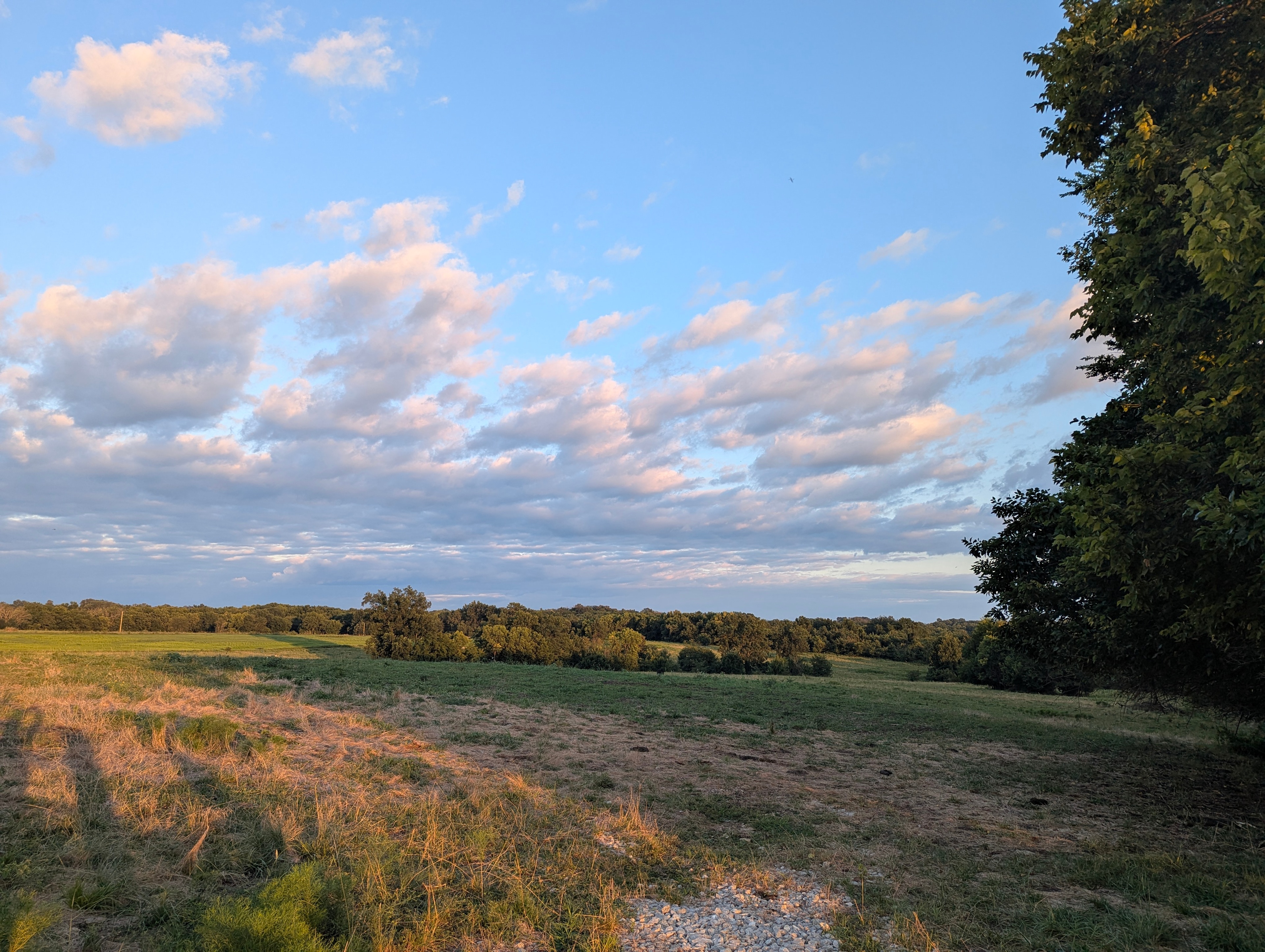 30 acres of pastureland