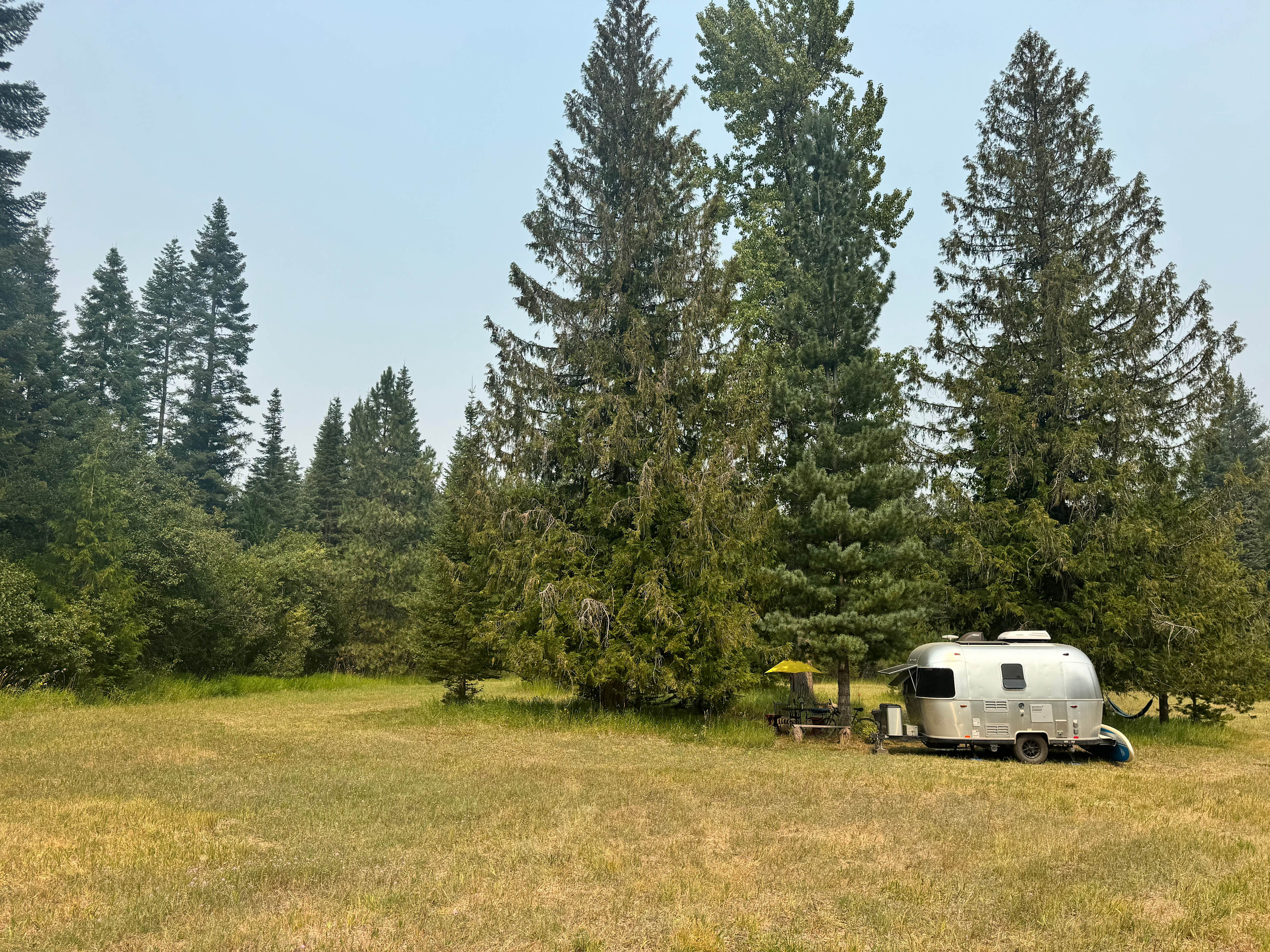 Nestled into trees. I stayed in sun for solar. 