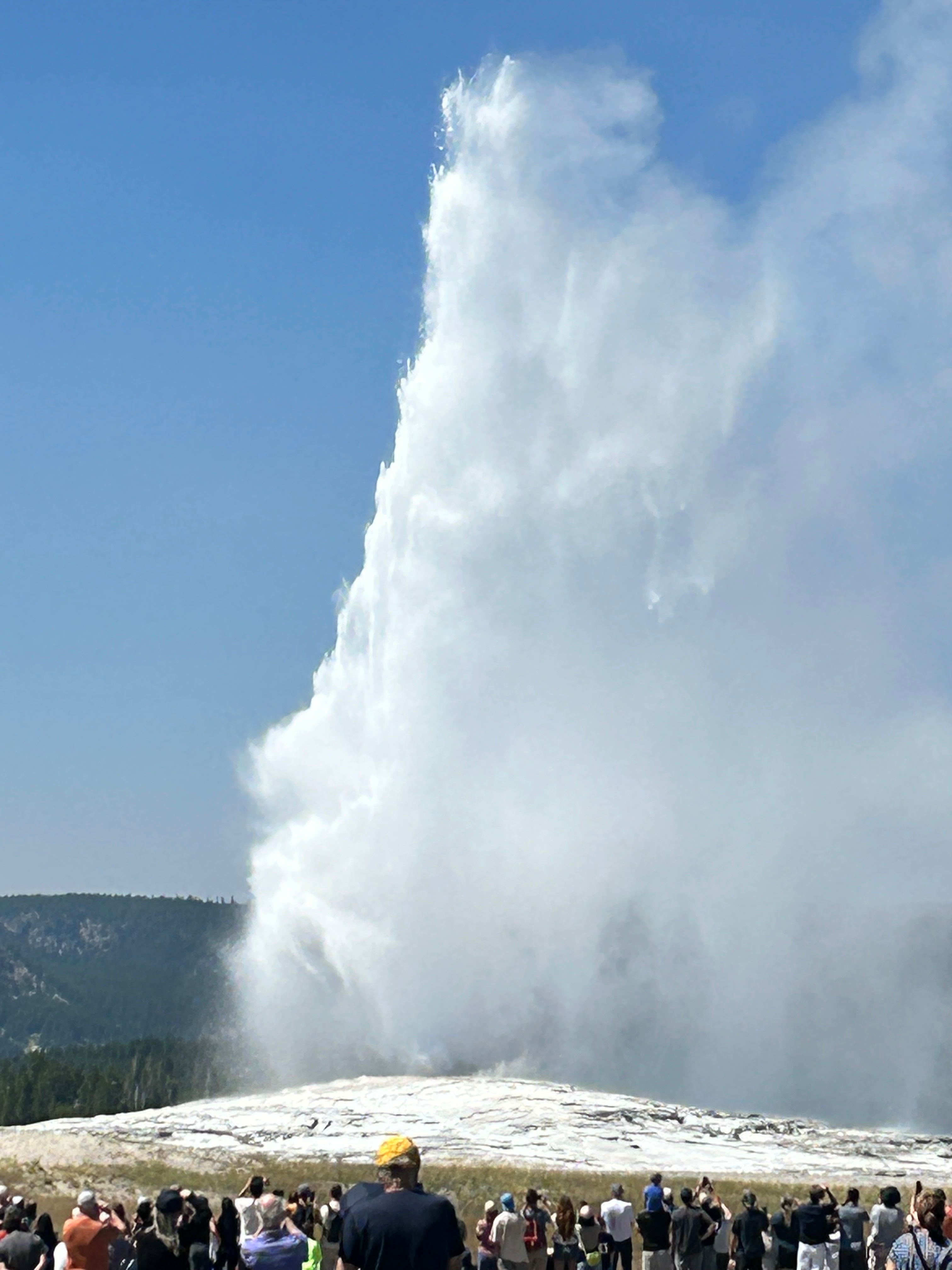 Mammoth Hot Springs Campground