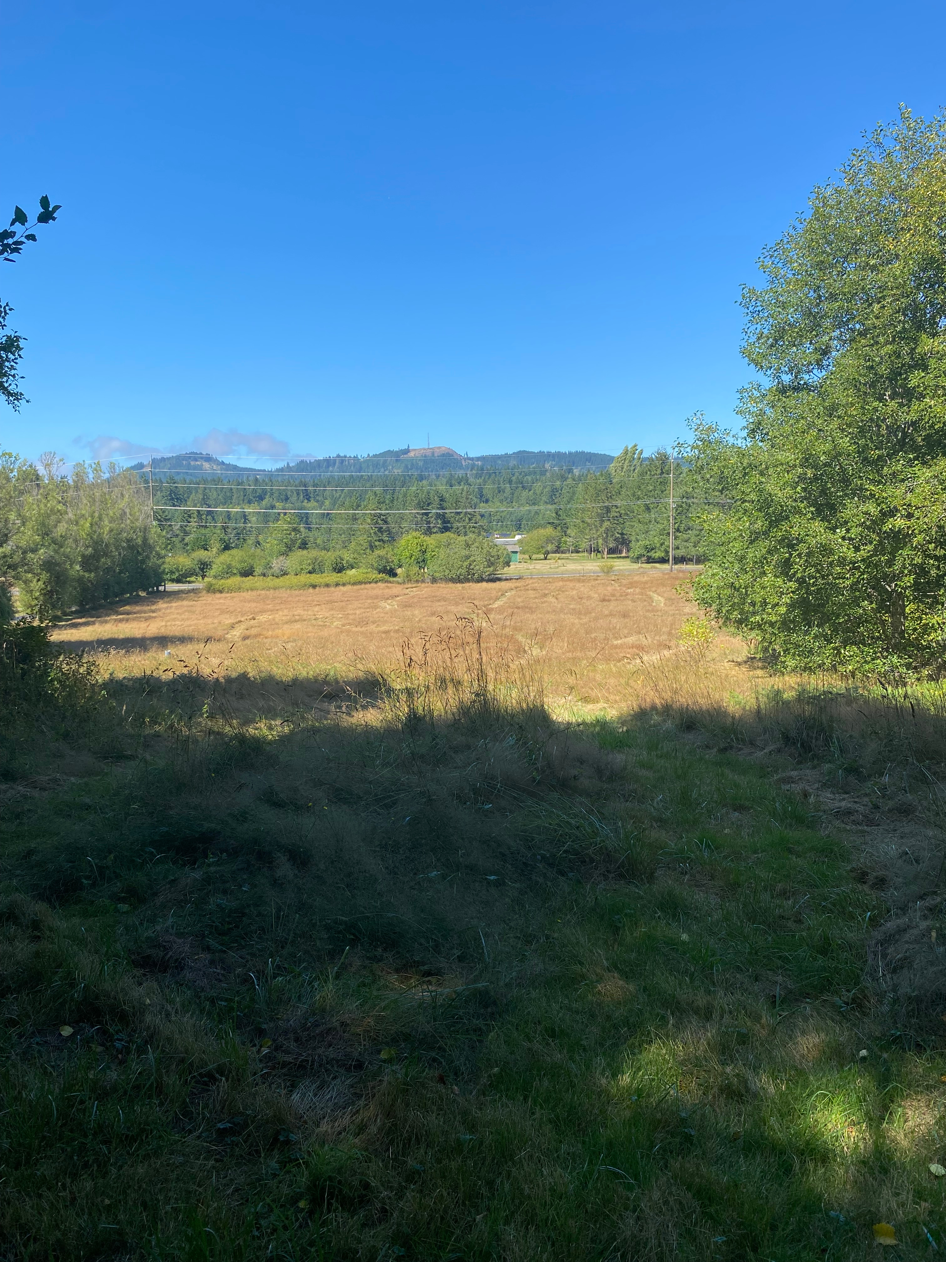 High Hopes Farm