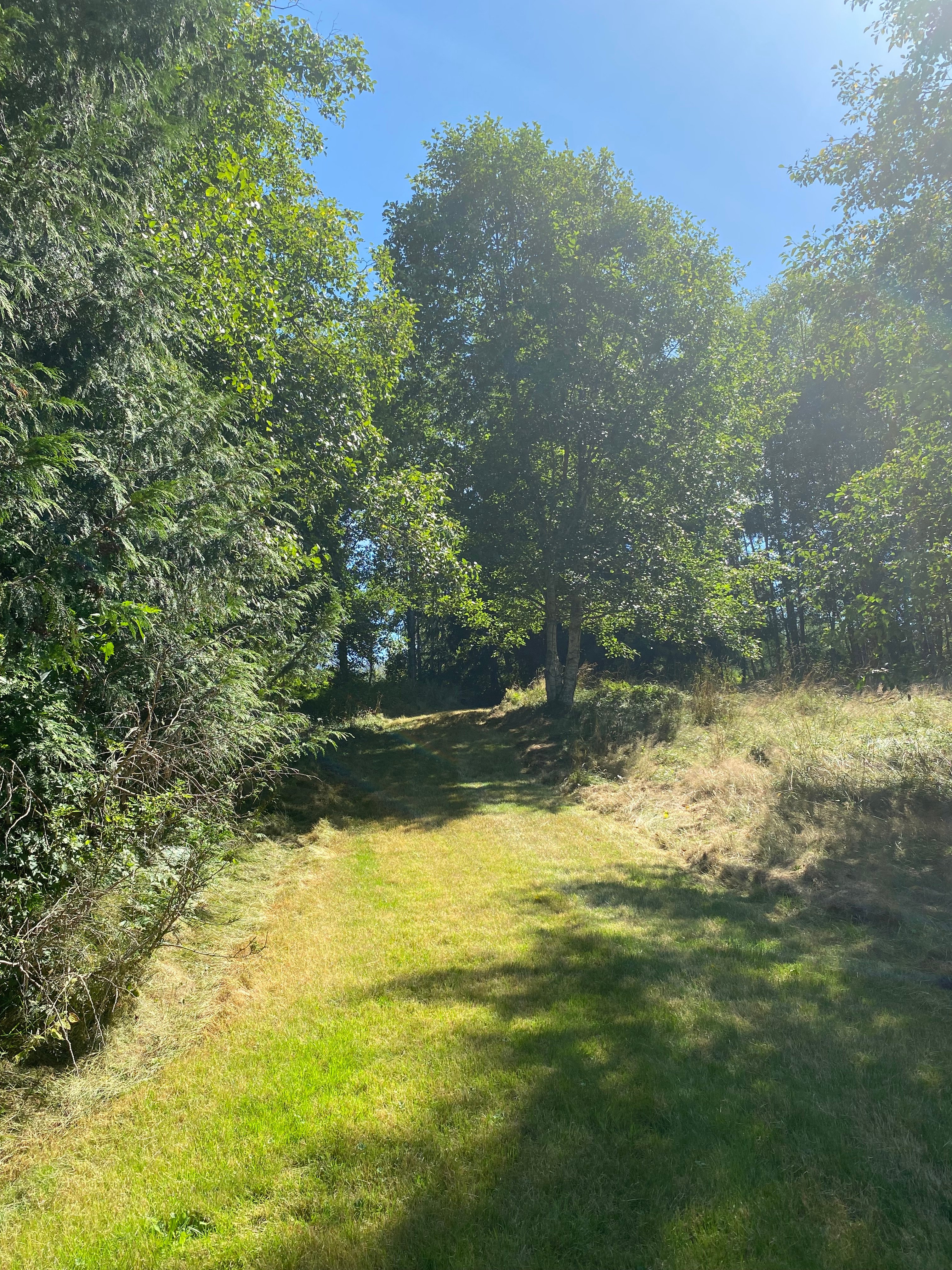 High Hopes Farm