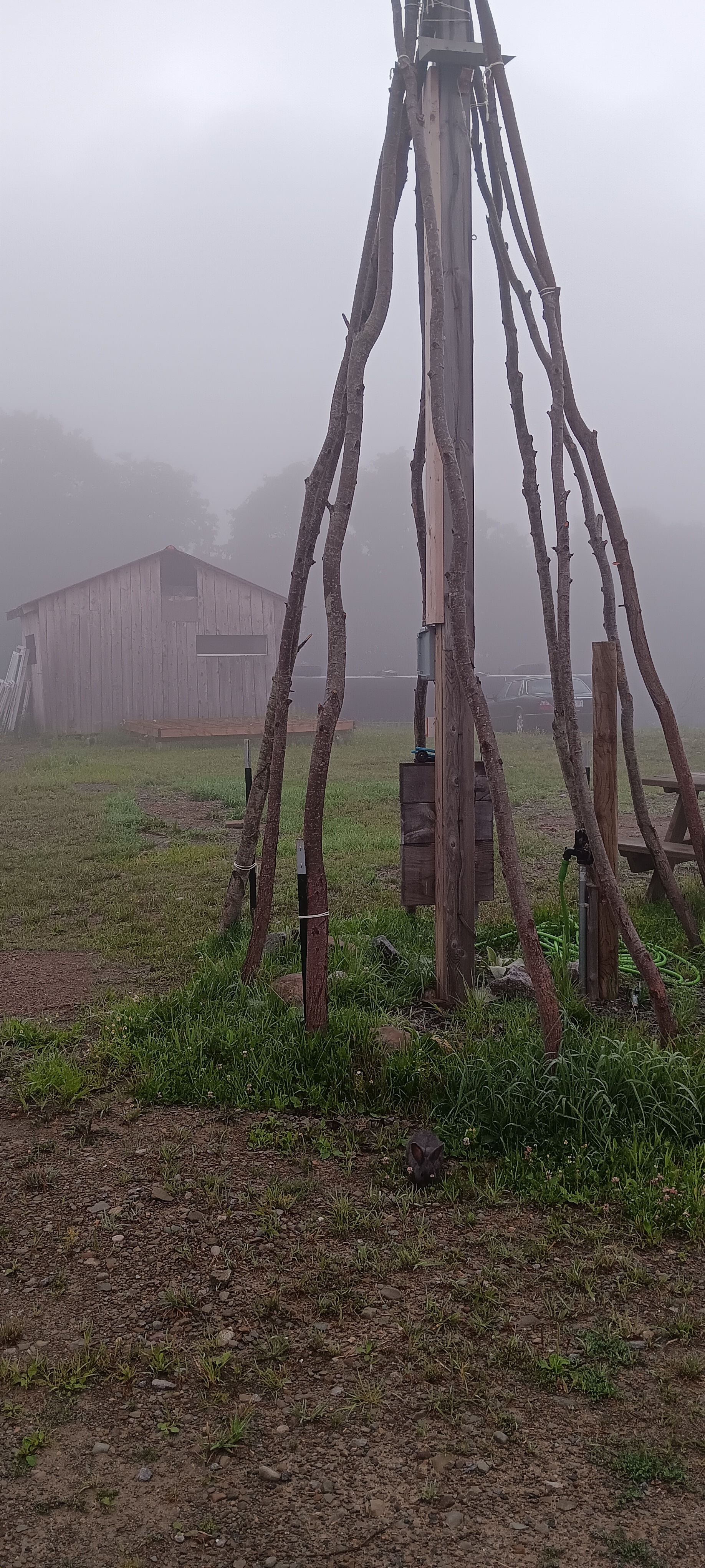 Camp Little Indian