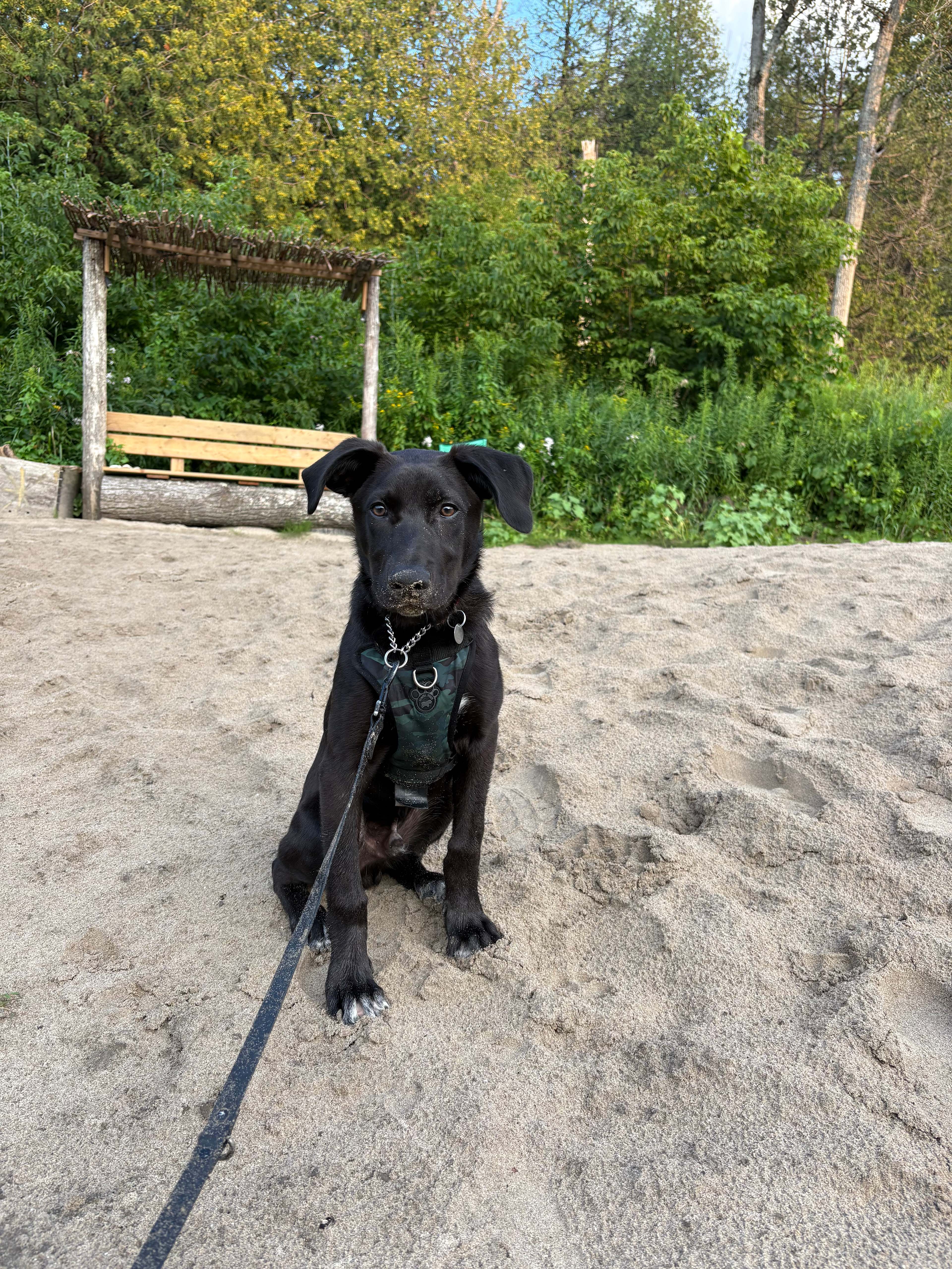 Enjoying the beach area