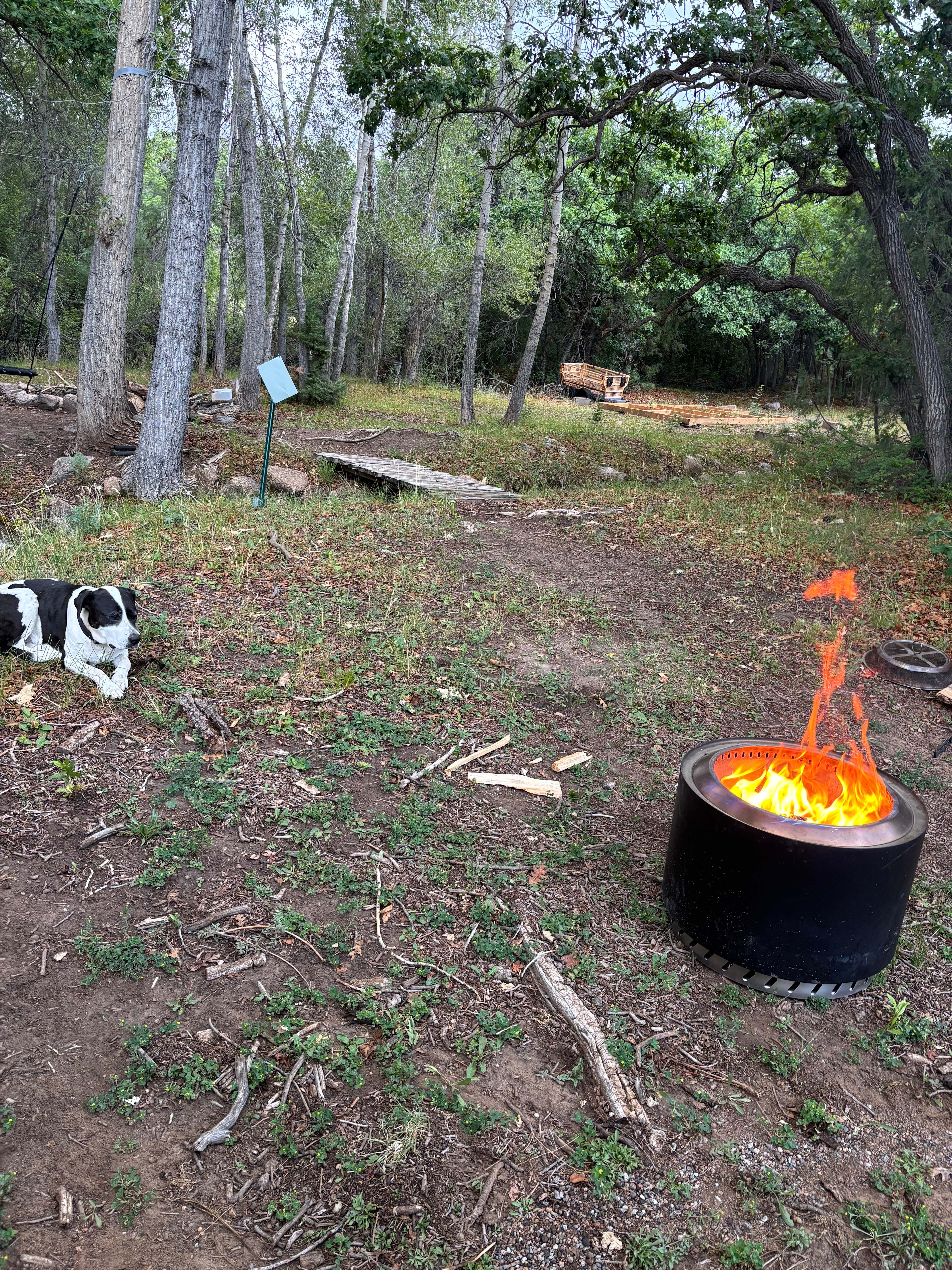 Camp Zia