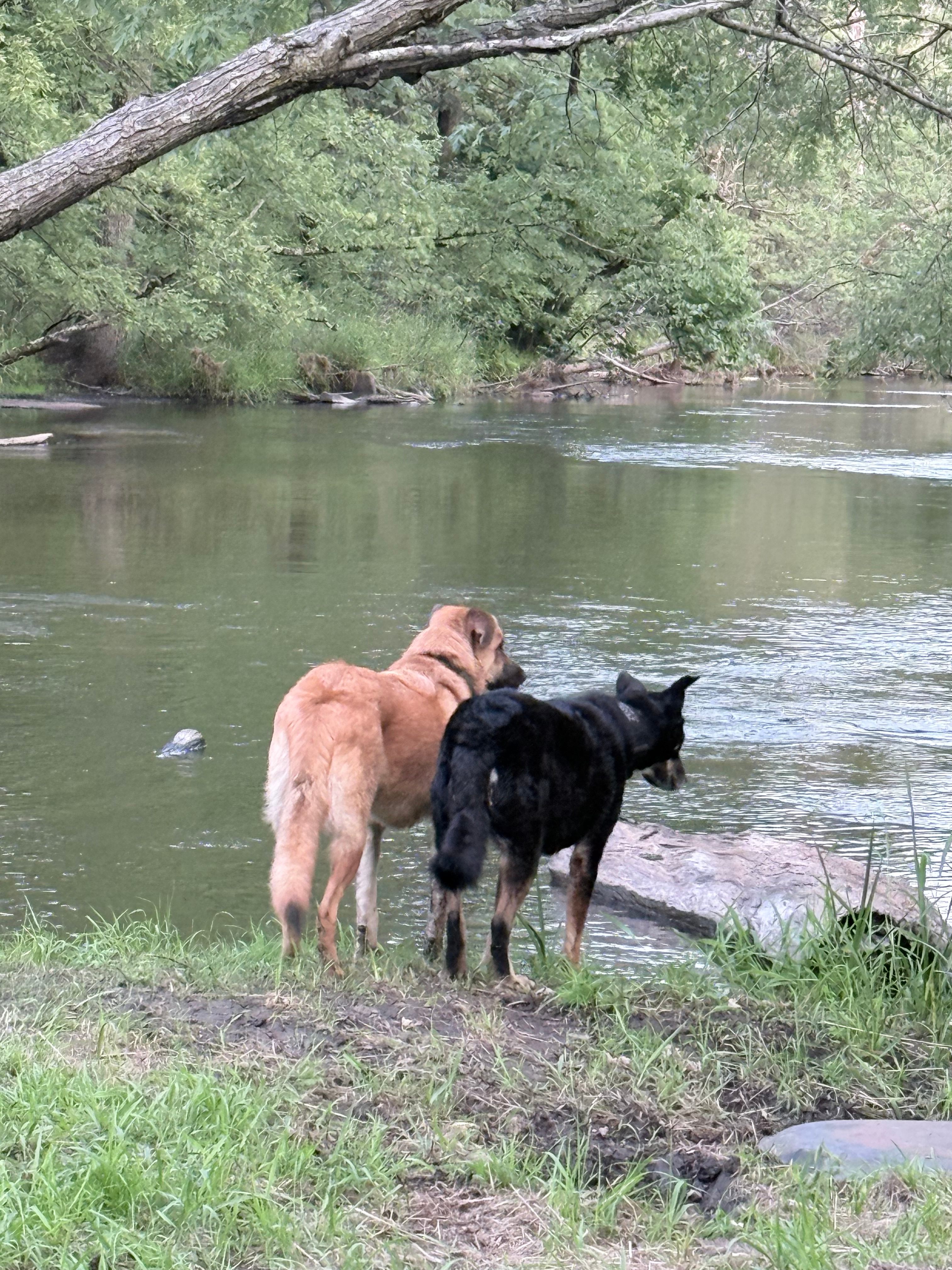 Old Red Mill Oasis