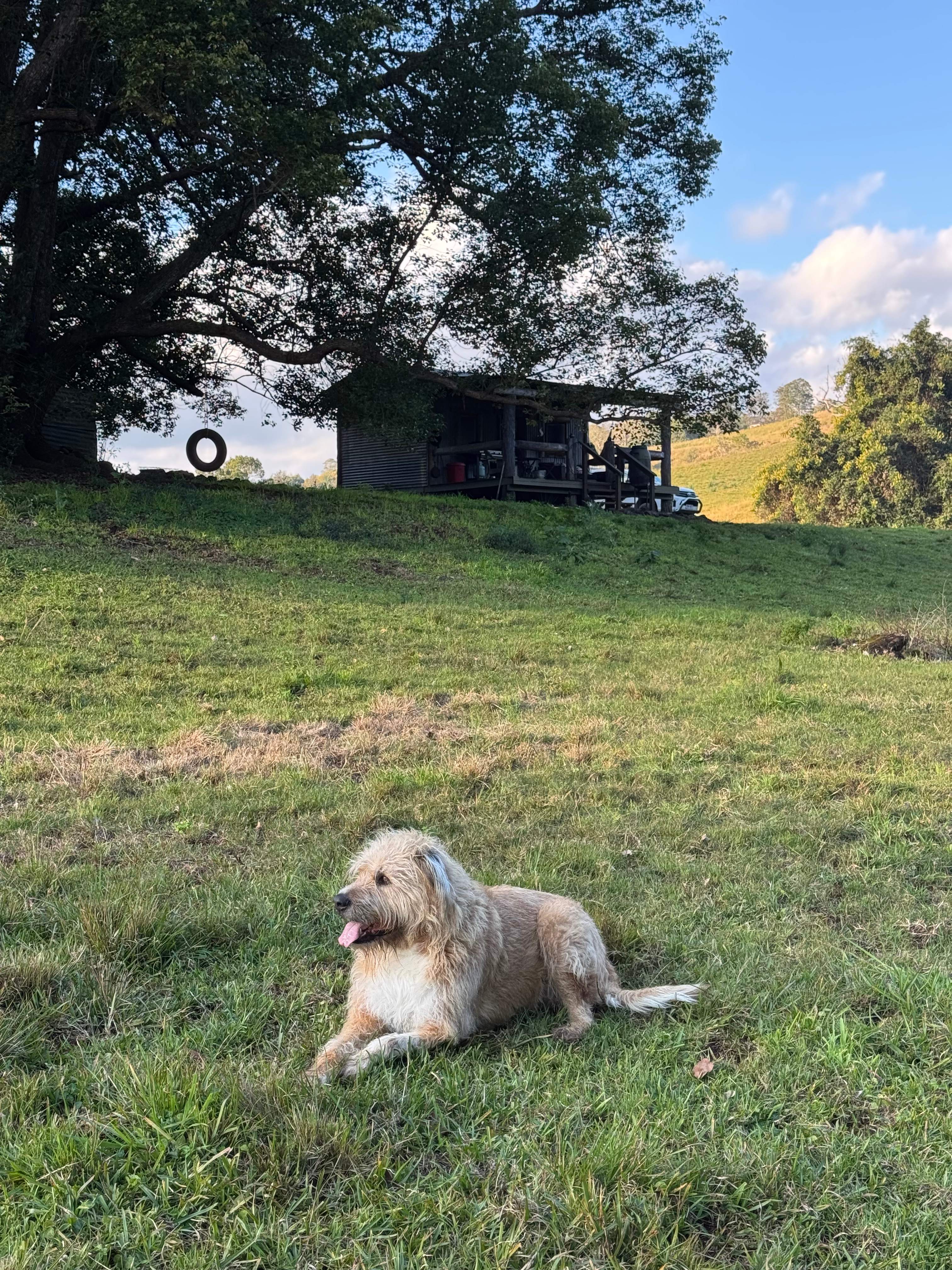 Barachi by the Creek