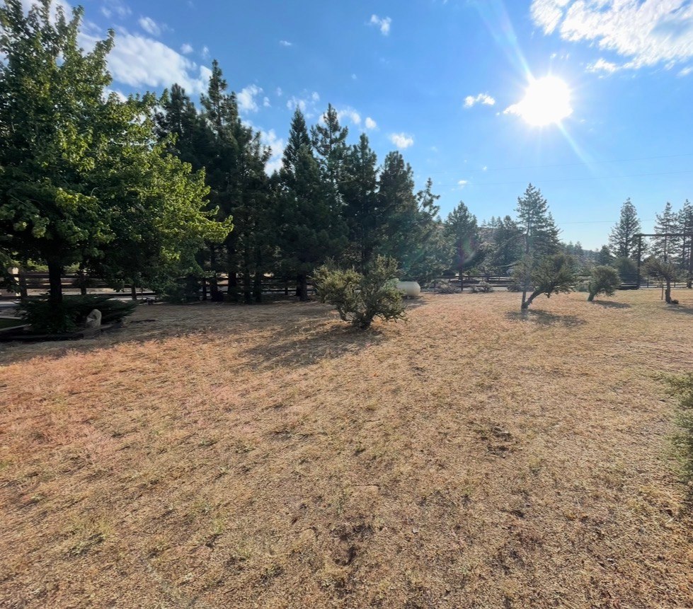 2 Acres w/1000's of Acres of Forest