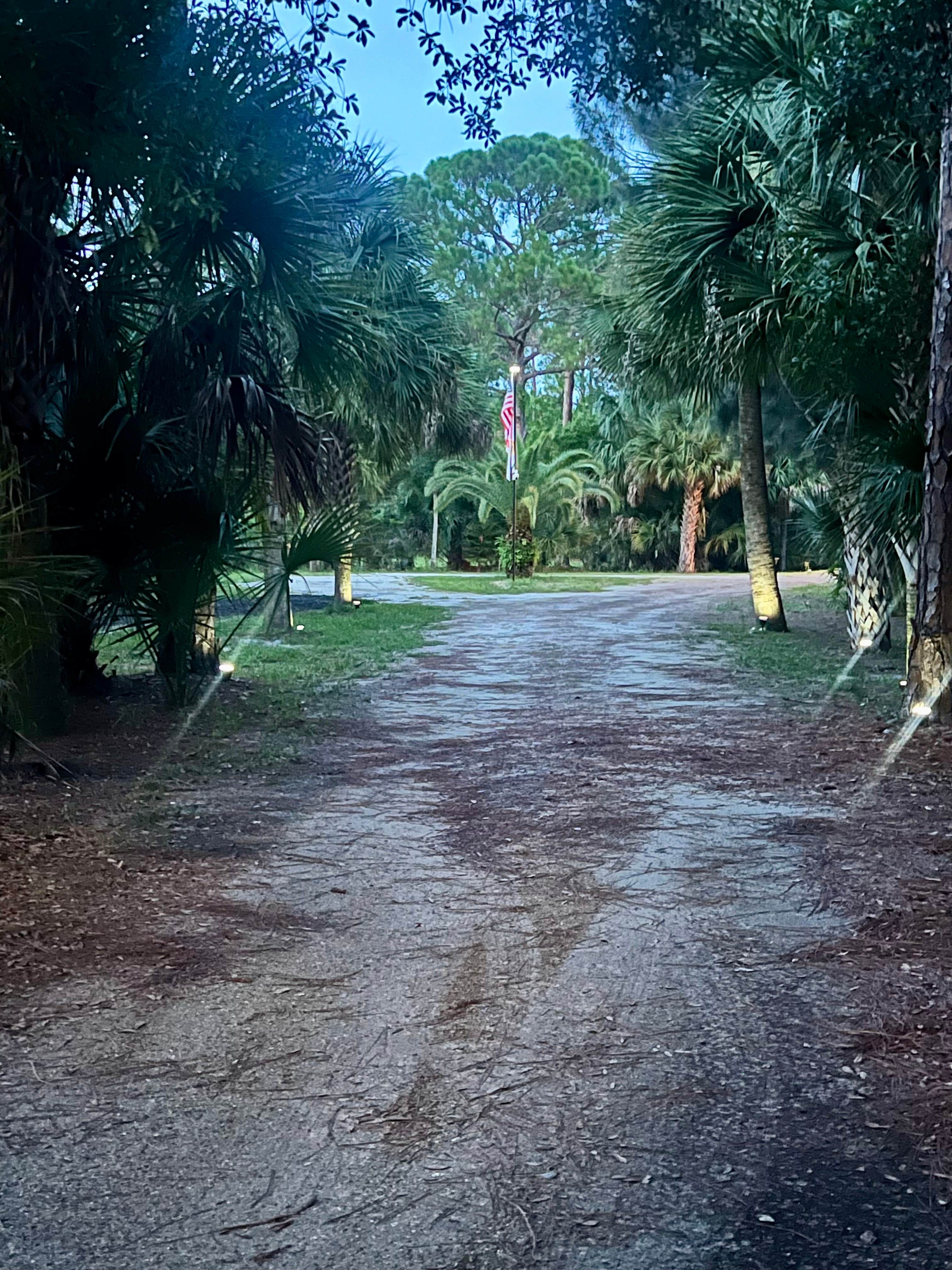 Driveway with plenty of room to turn and back into your site 