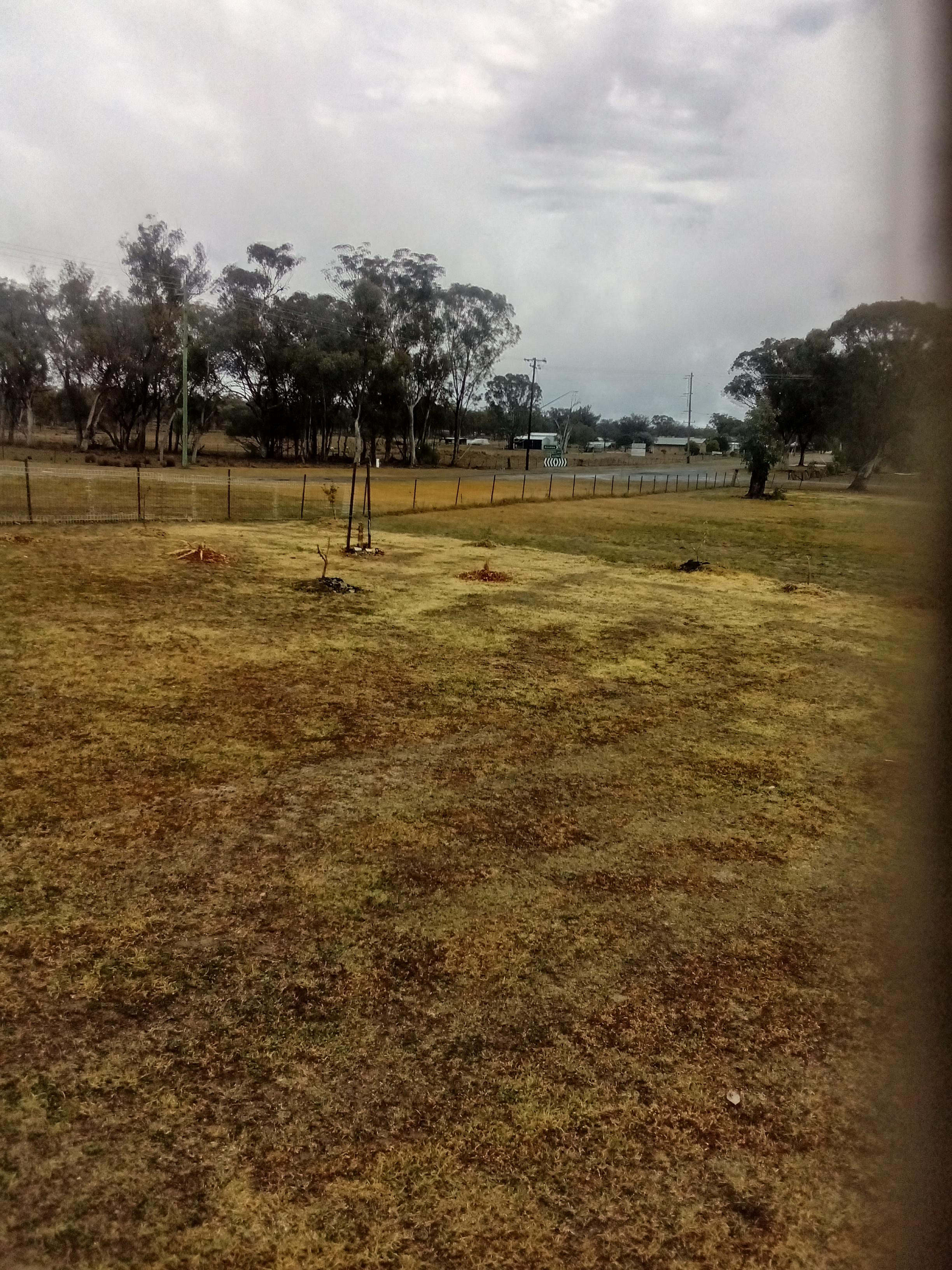 Ashford camping