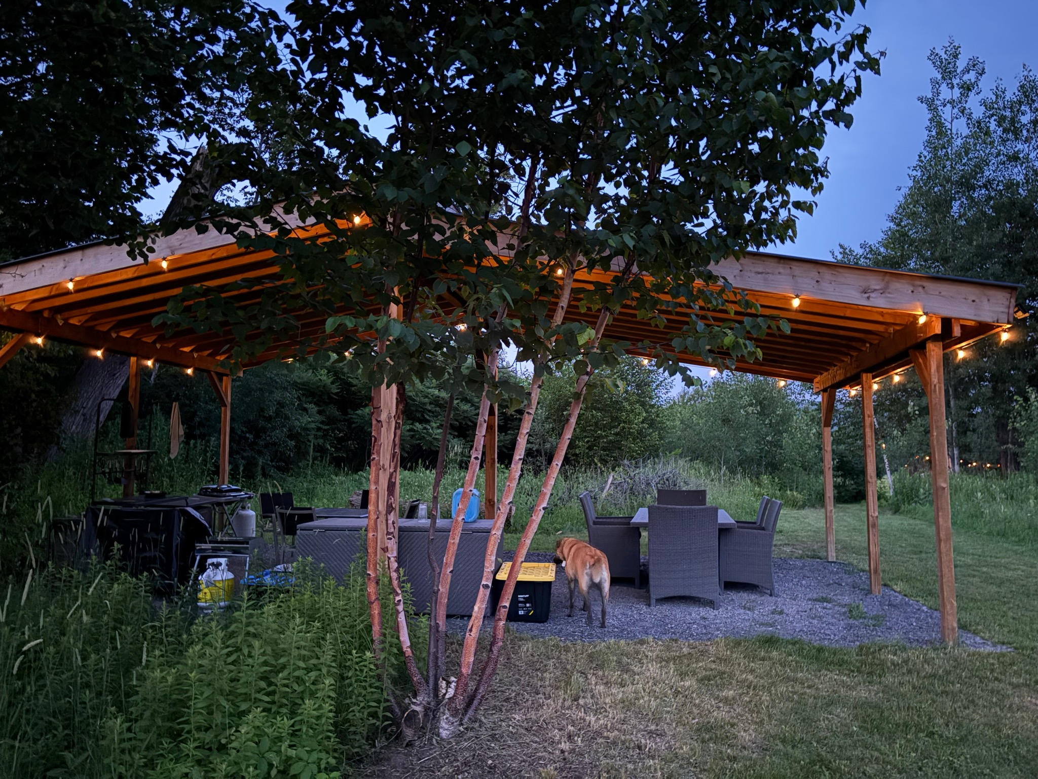 Outdoor Kitchen - Cuisine Extérieur (3 BBQ)